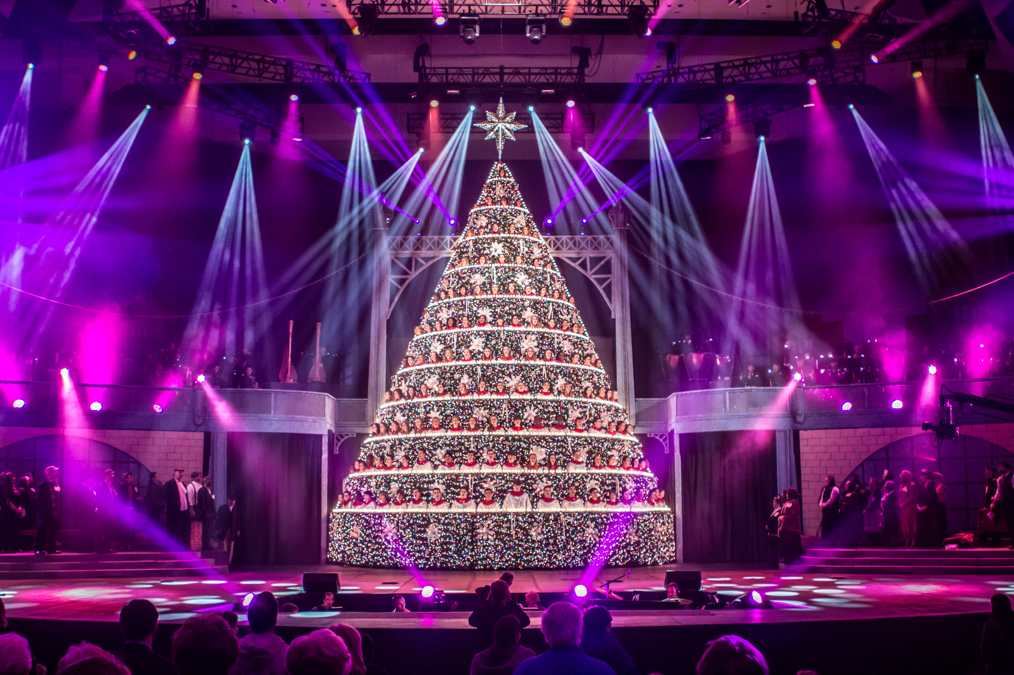 Singing Christmas Tree by Timothy Simpson / 500px