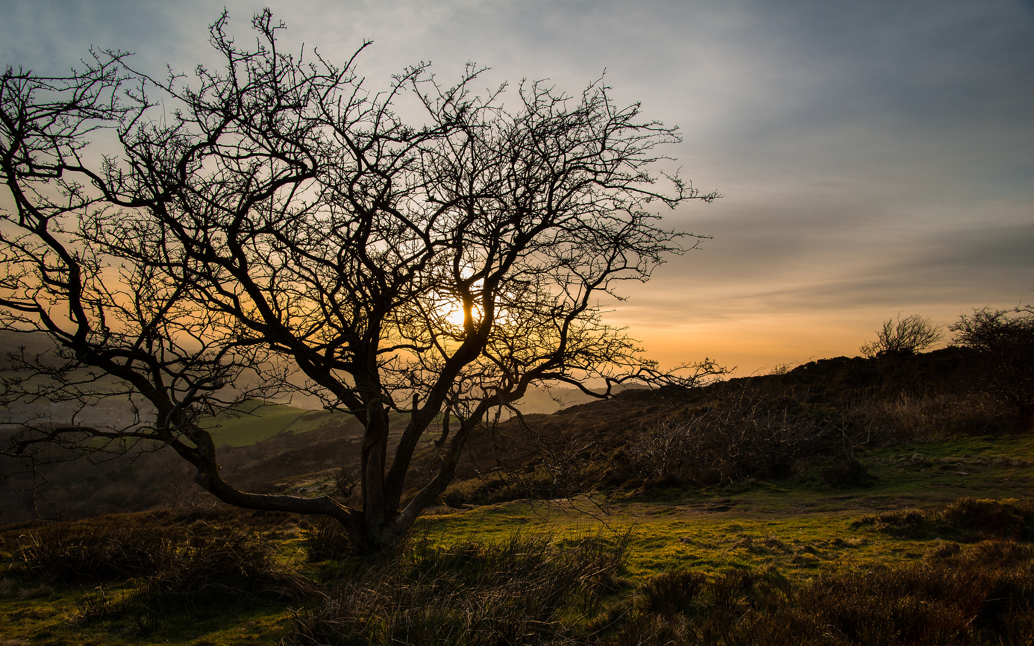 v2?sig=c9ef1edd665fc32266eb7f9f85f0d239c