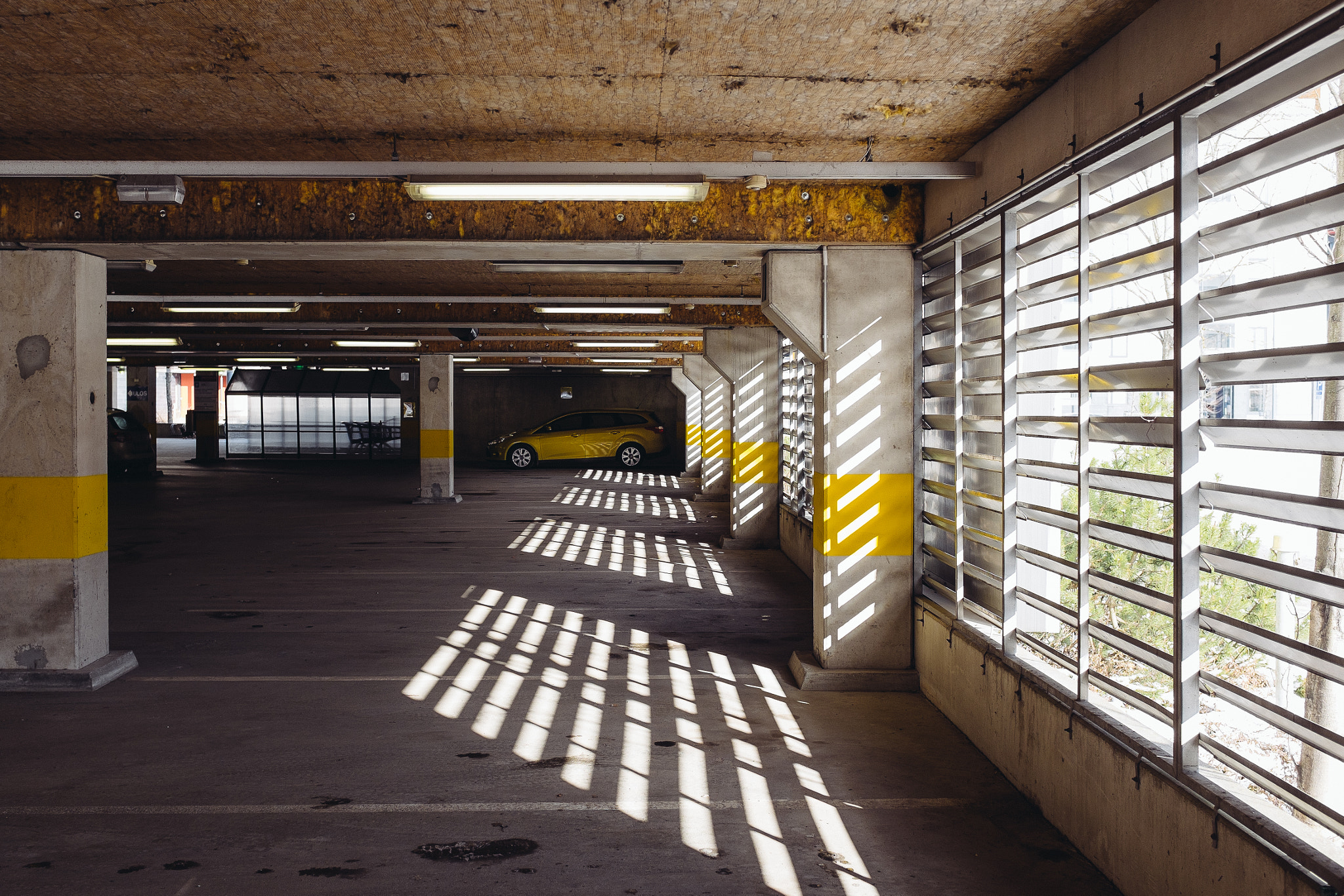 Follow the yellow