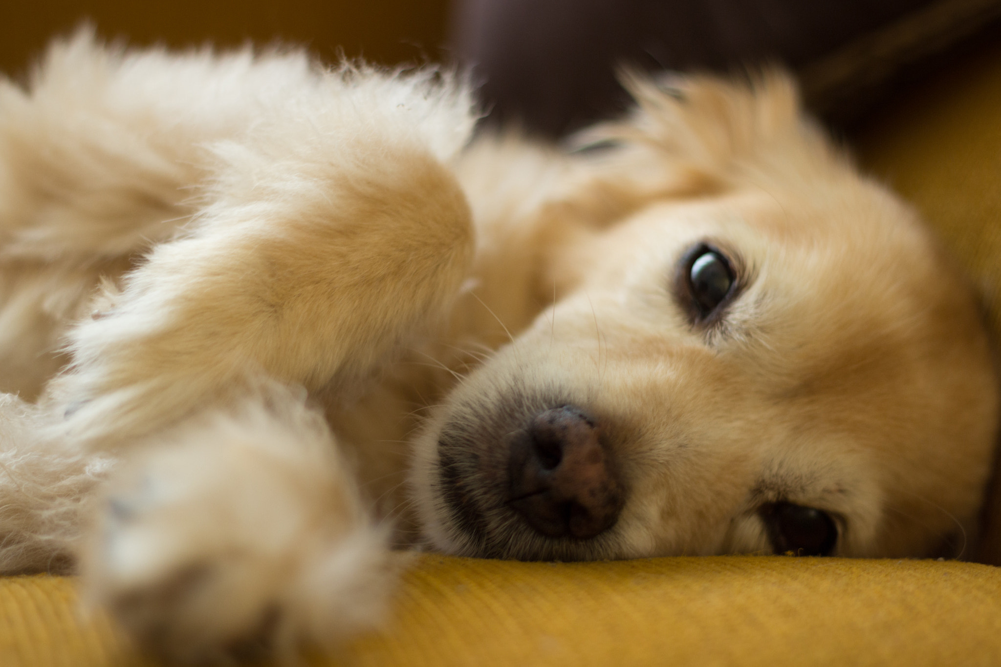 Time to rest...