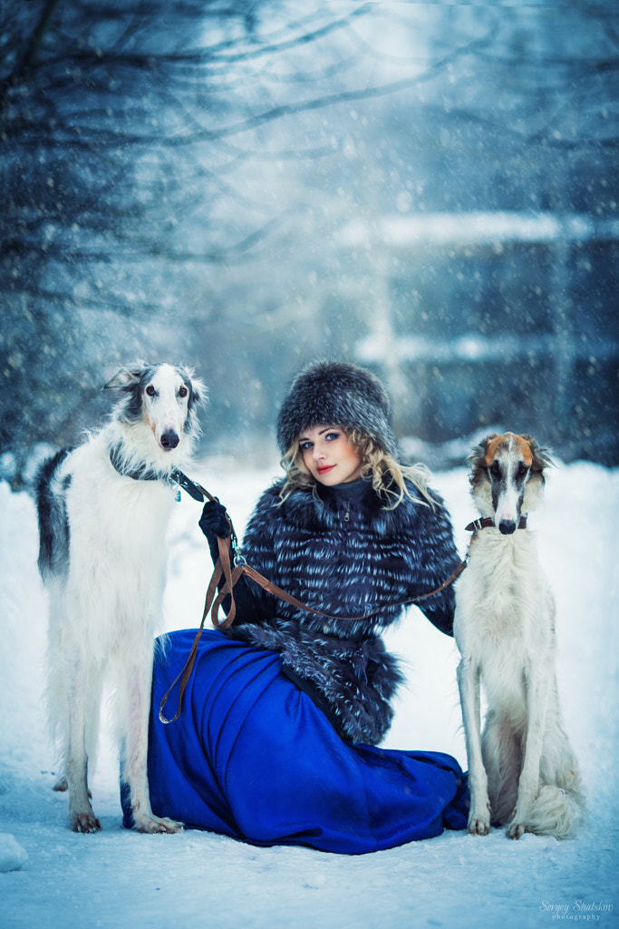 Winter hunting by Sergey Shatskov on 500px.com