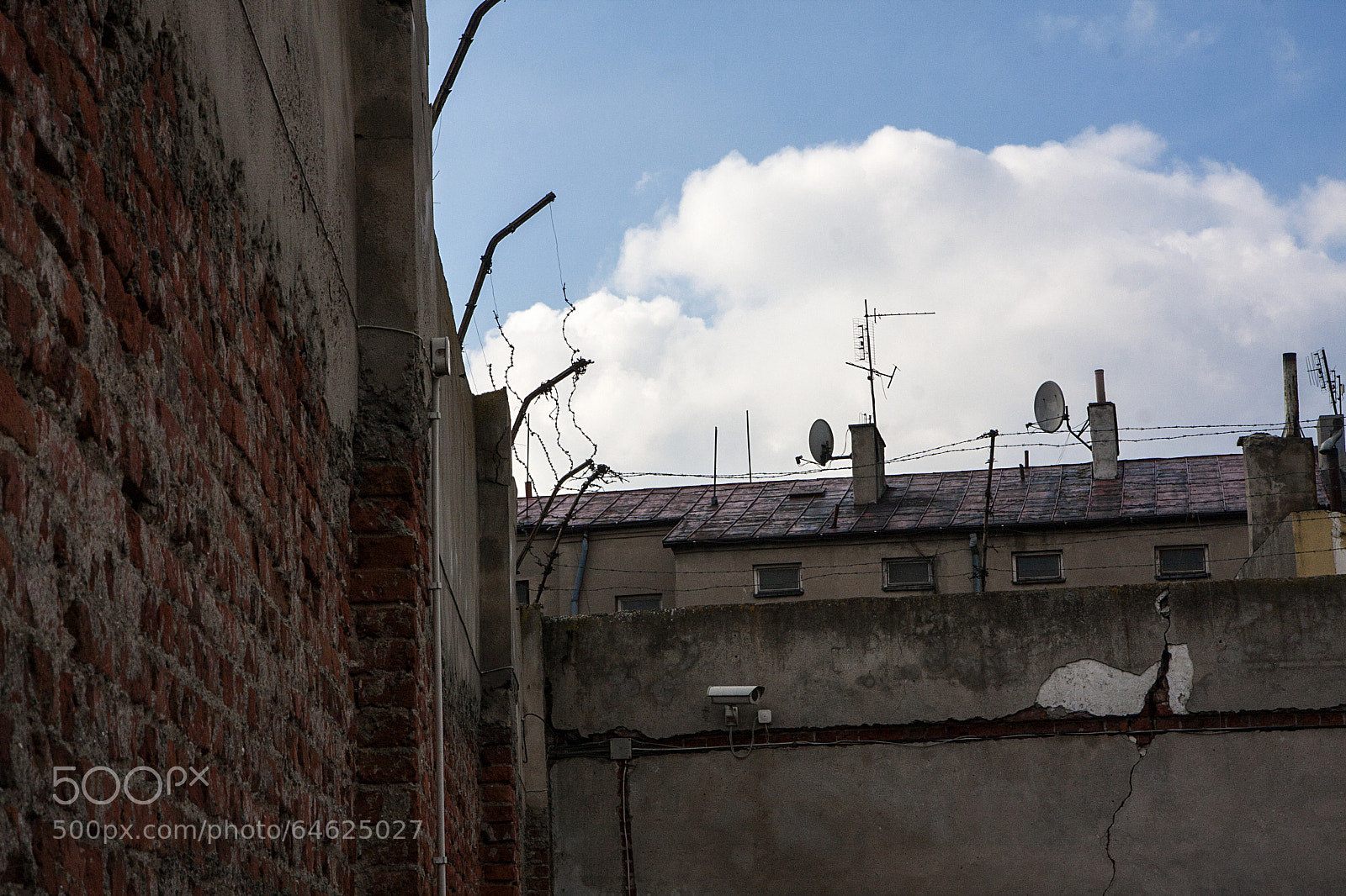 Canon EOS 40D sample photo. I don't see trees photography