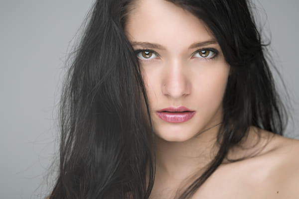 Portrait of a pitbull by linsensuppe - fotografie / 500px