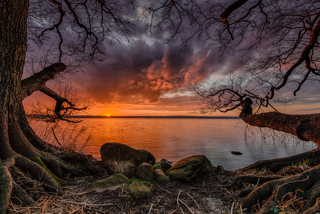 Jurassic Park by Frank Jensen on 500px.com