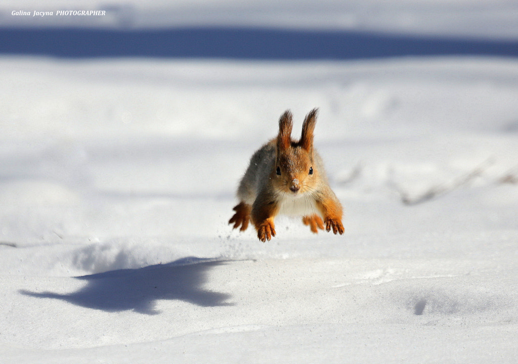 Last jerk !!! by Galina Jacyna on 500px.com