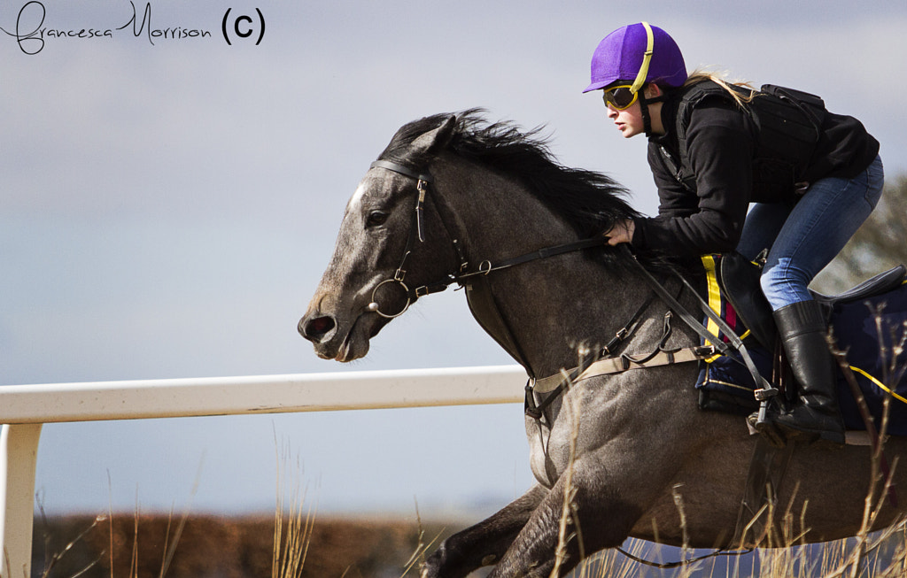 Race horse on the gallops by Francesca Morrison / 500px