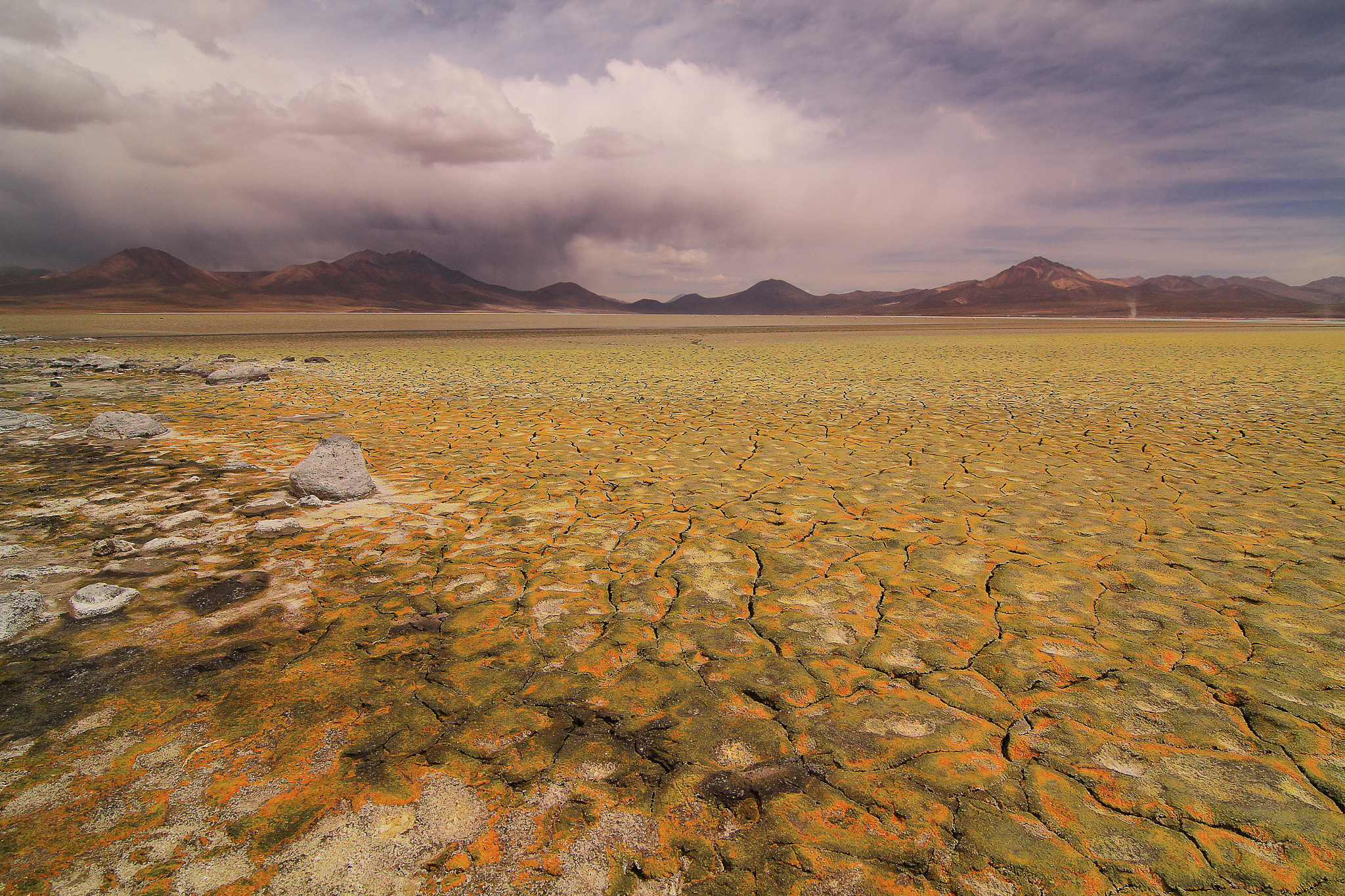 Salar de Surire