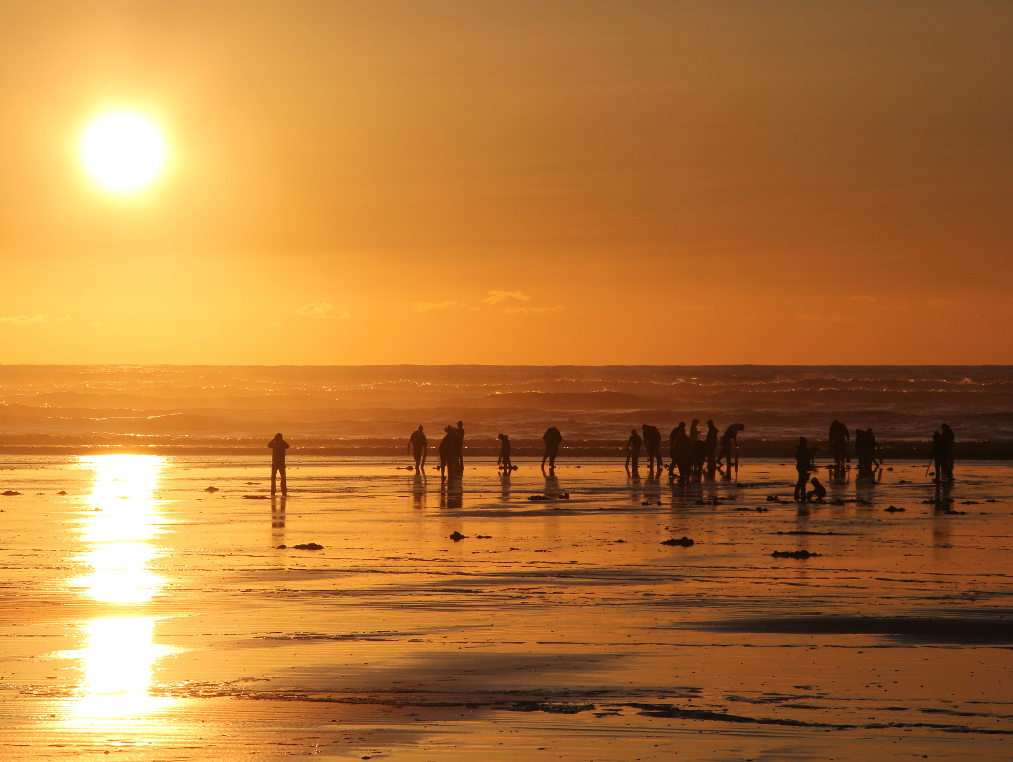 Clamdiggers at Sunset, Ocean Shores