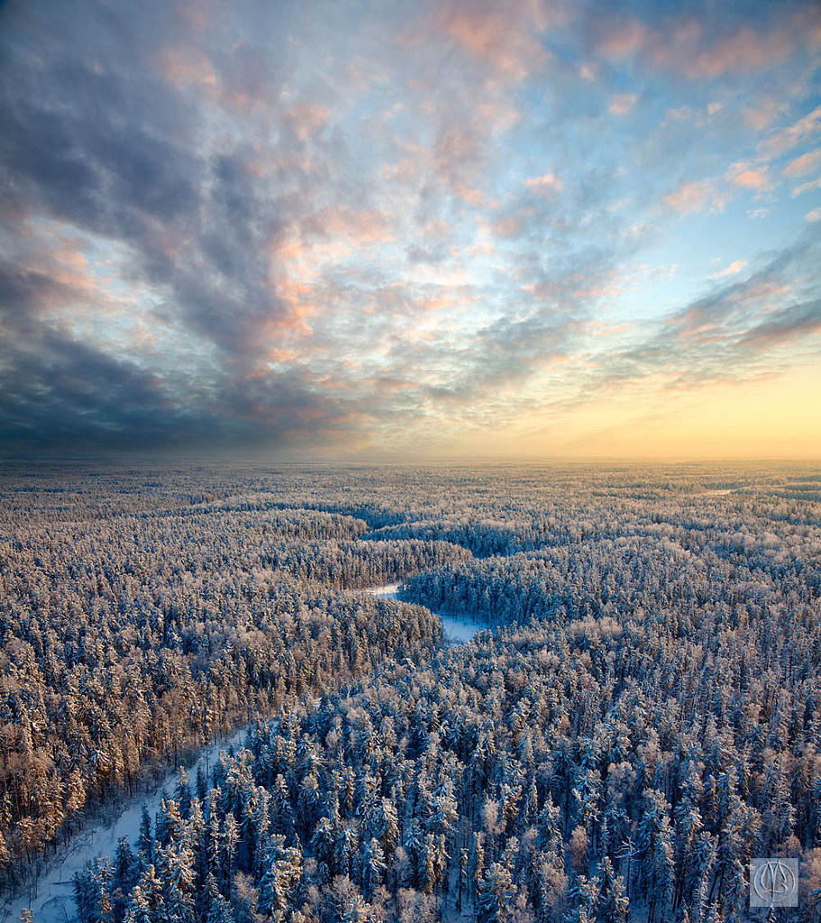 Top view of winter forest by Vladimir Melnikov on 500px.com