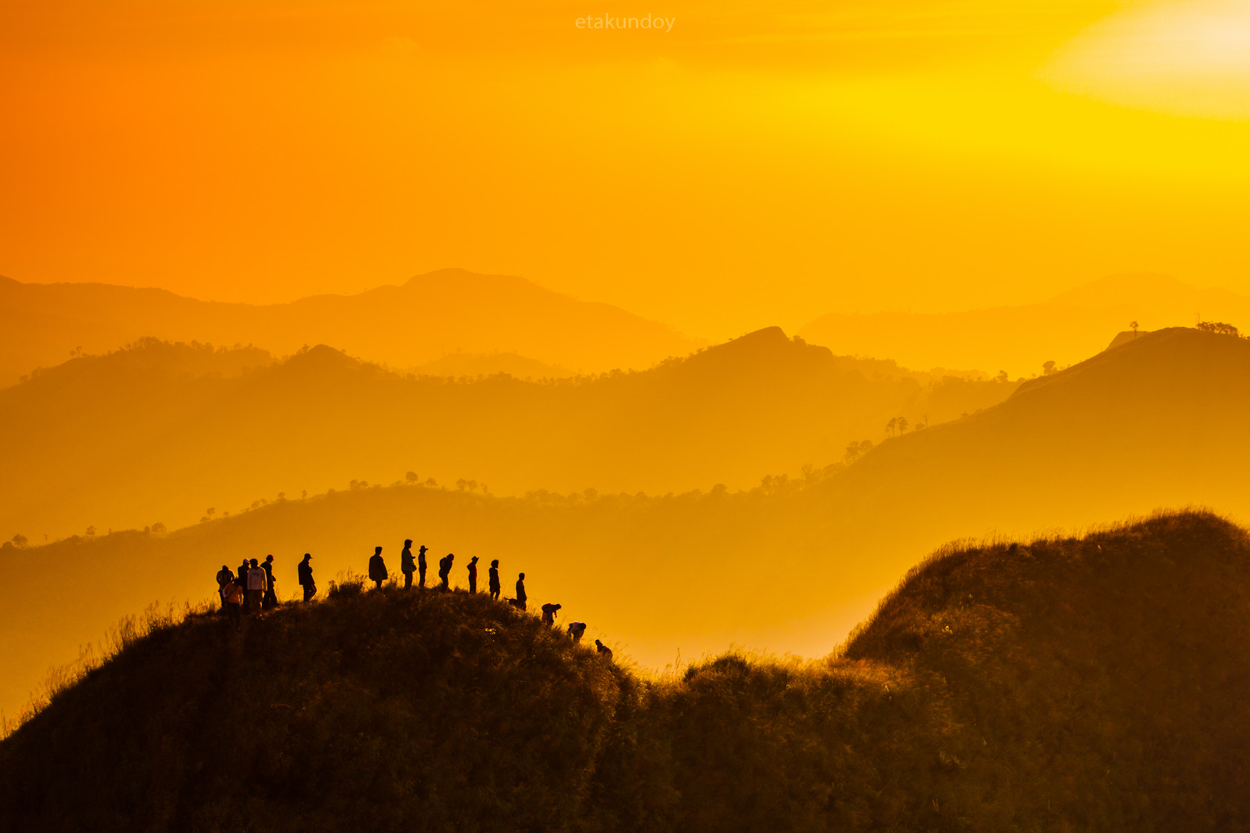 v2?sig=33462a90120007157dbe8ca2f4ef6a2ed7b5b81f195226d1f4d8048c593e65b8