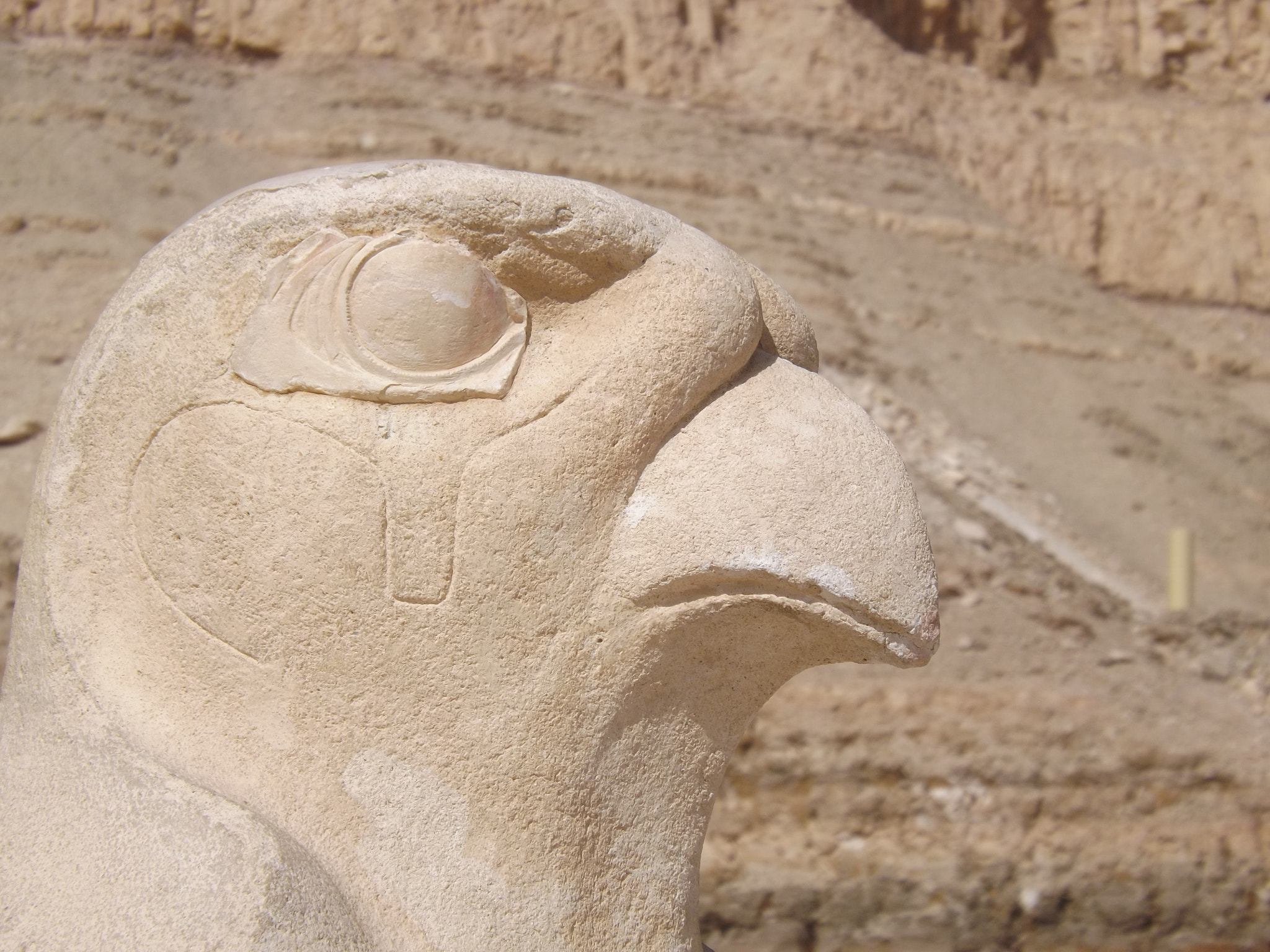 Horus