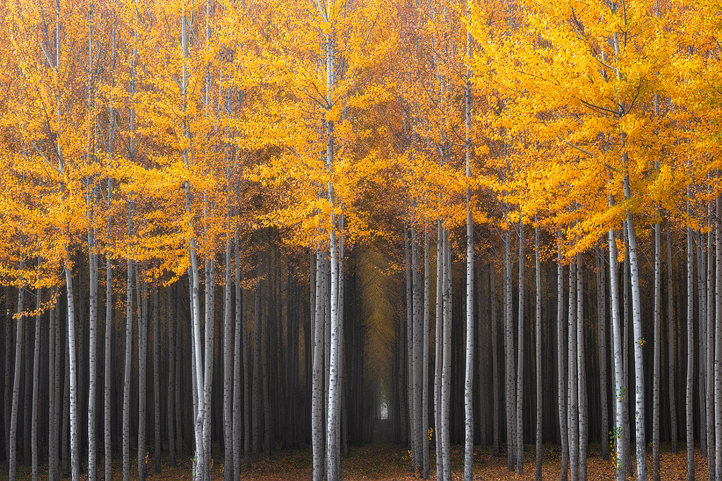 Mysterious Hallway by David Thompson D Breezy on 500px.com