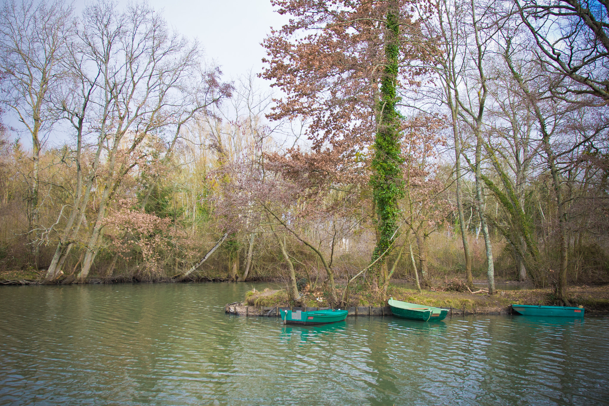 Walk along the Loire river