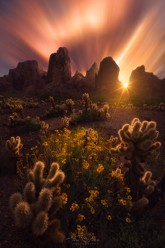 Mingle by Ted Gore on 500px
