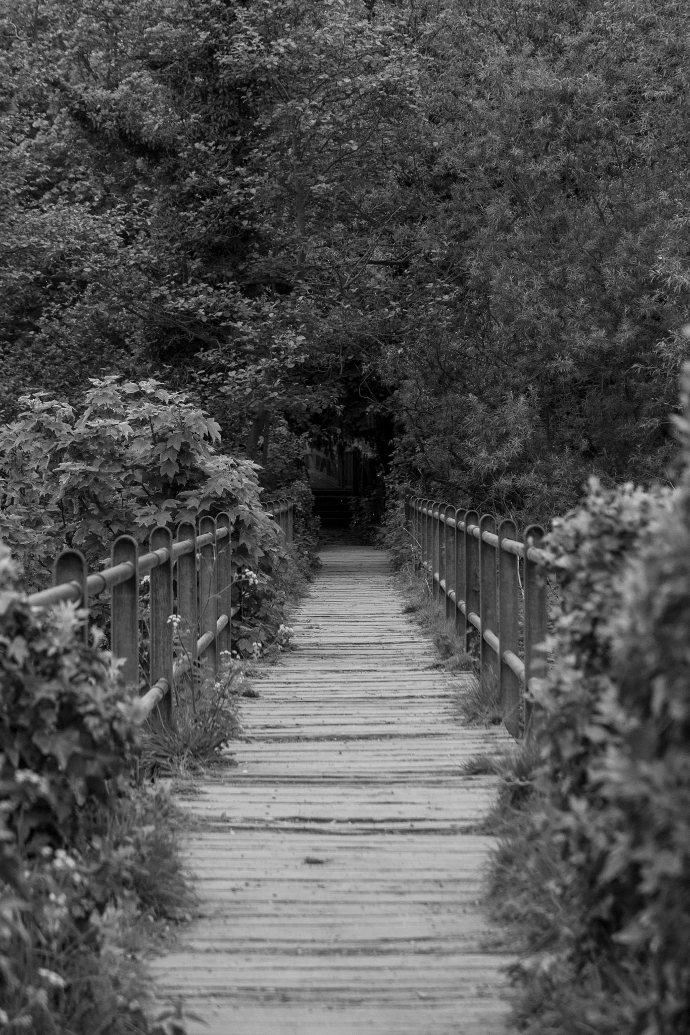 Gate to the Saxon Mill