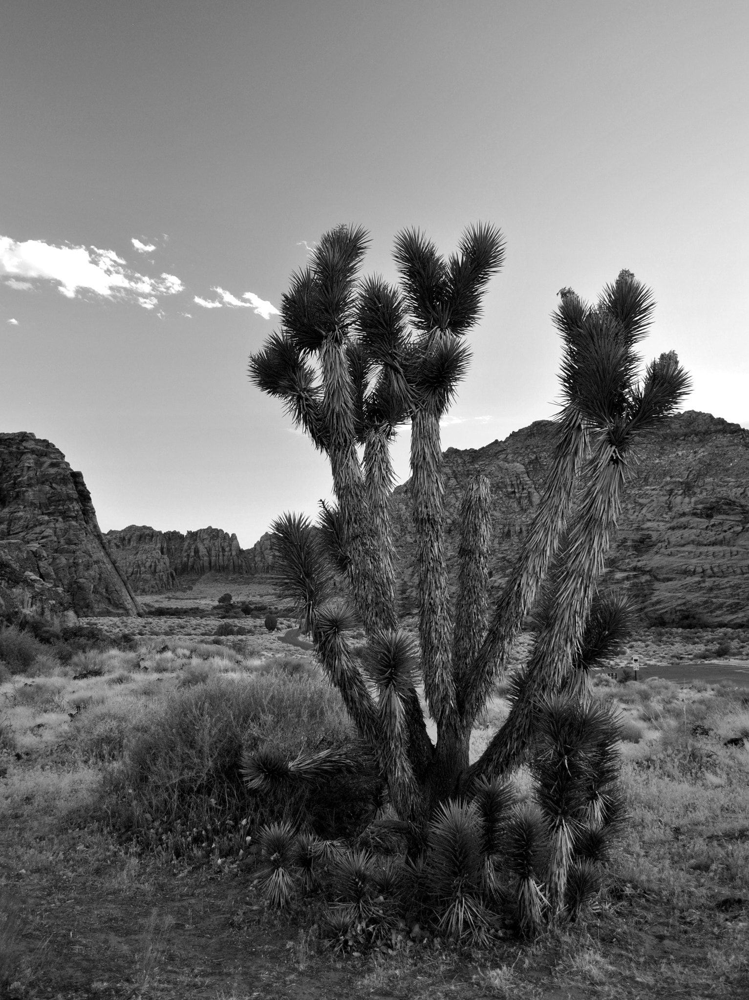 v2?sig=dfe864fd239961e37925e6bdfc5609733