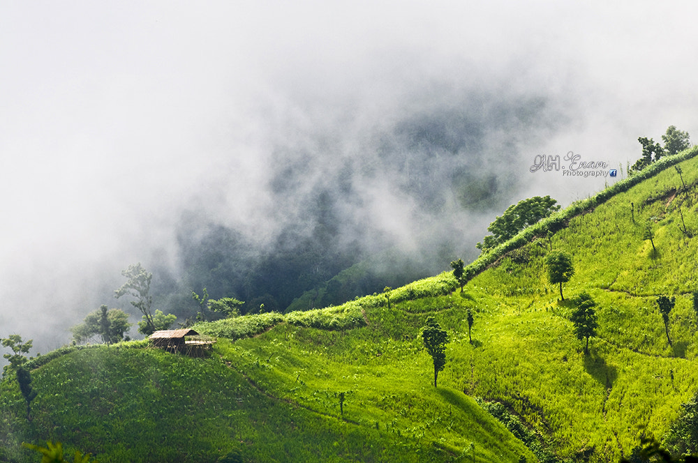 Nilgiri Bandarban