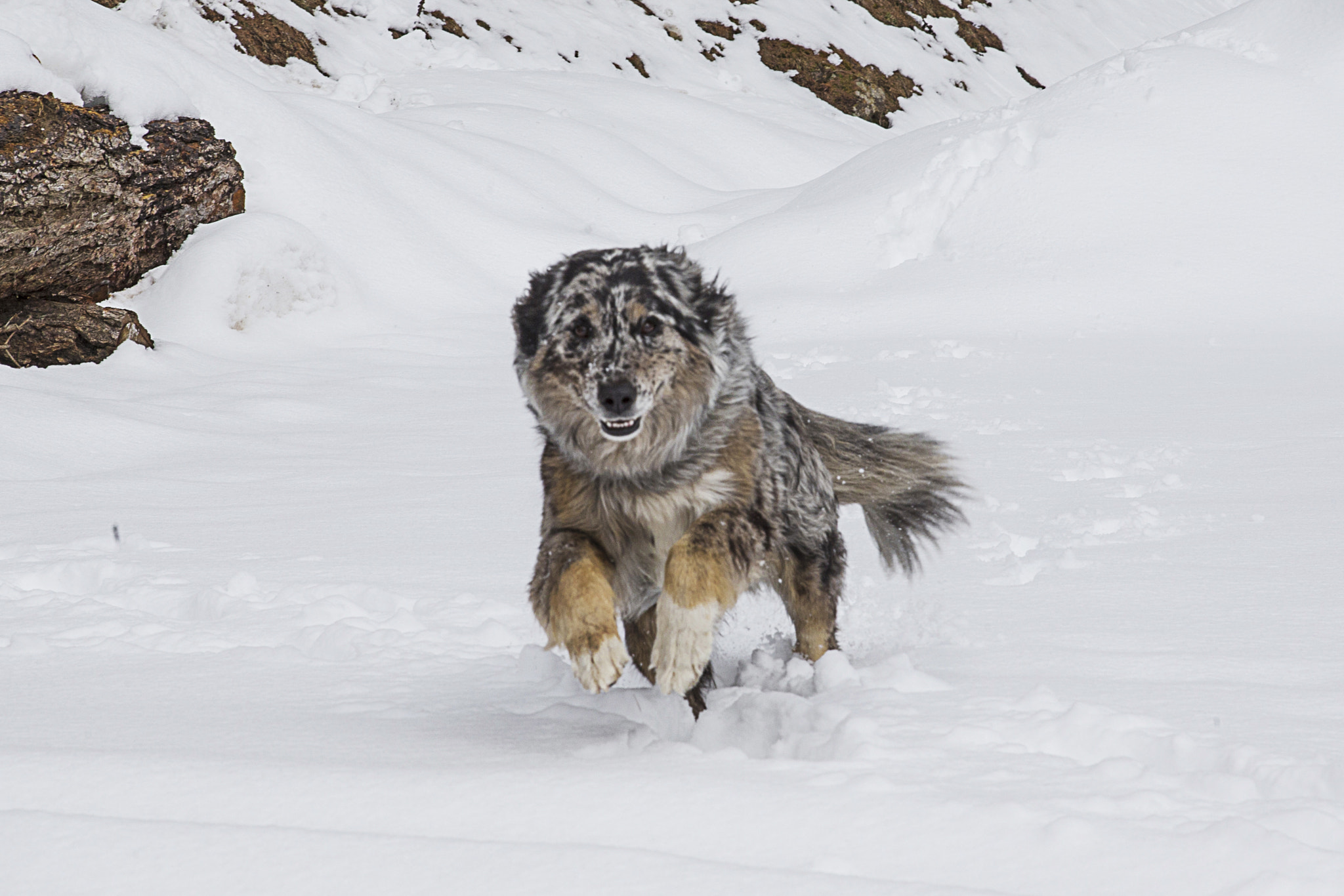 v2?sig=991820d35e4340b3972bc4ca943f39bfa8caa548f89c182b101997e79acb5a03