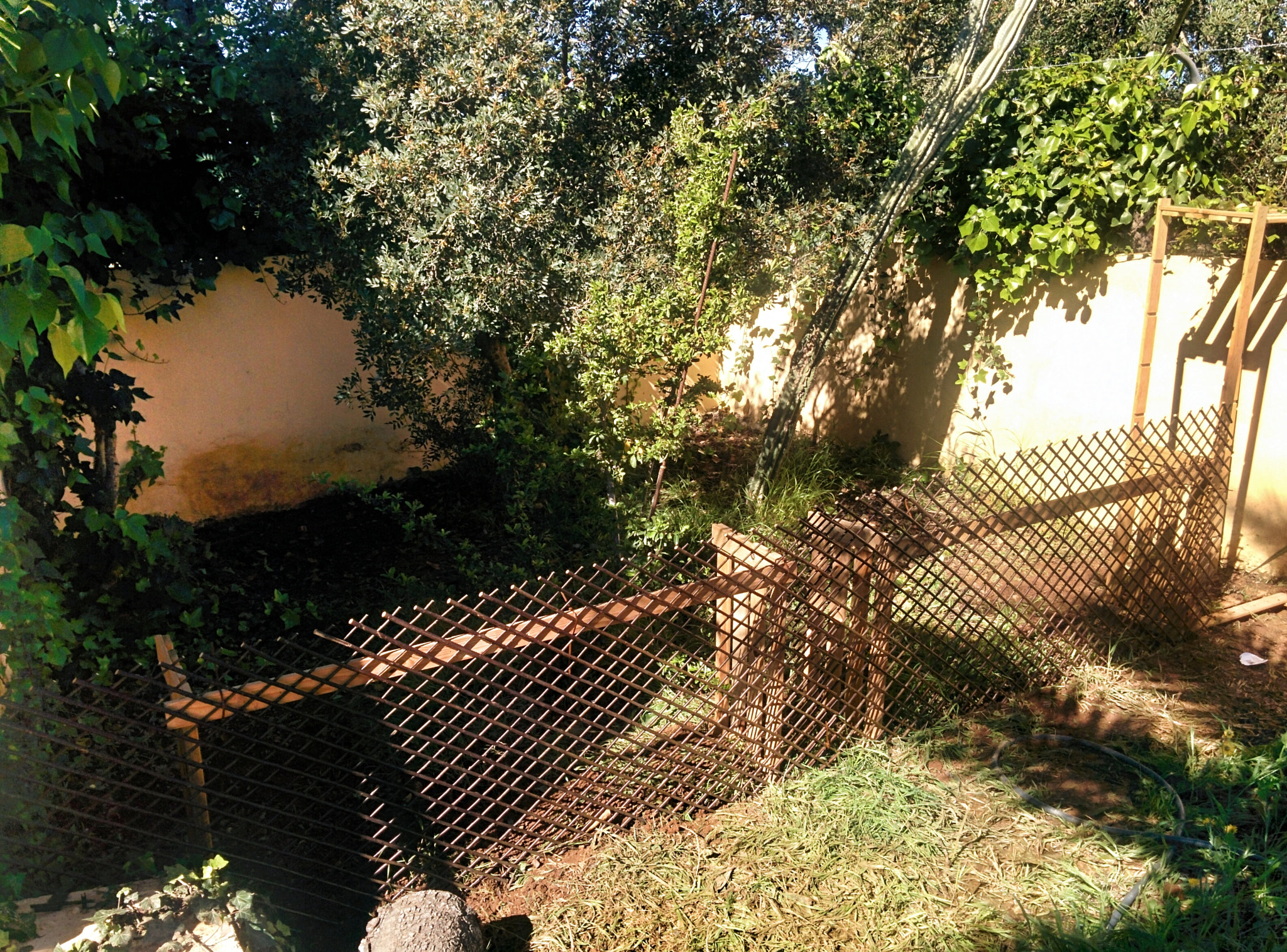 Y hoy amigos vamos a explicar como montar una pequeña jaulita en casa para tus mascotitas. :) (léase