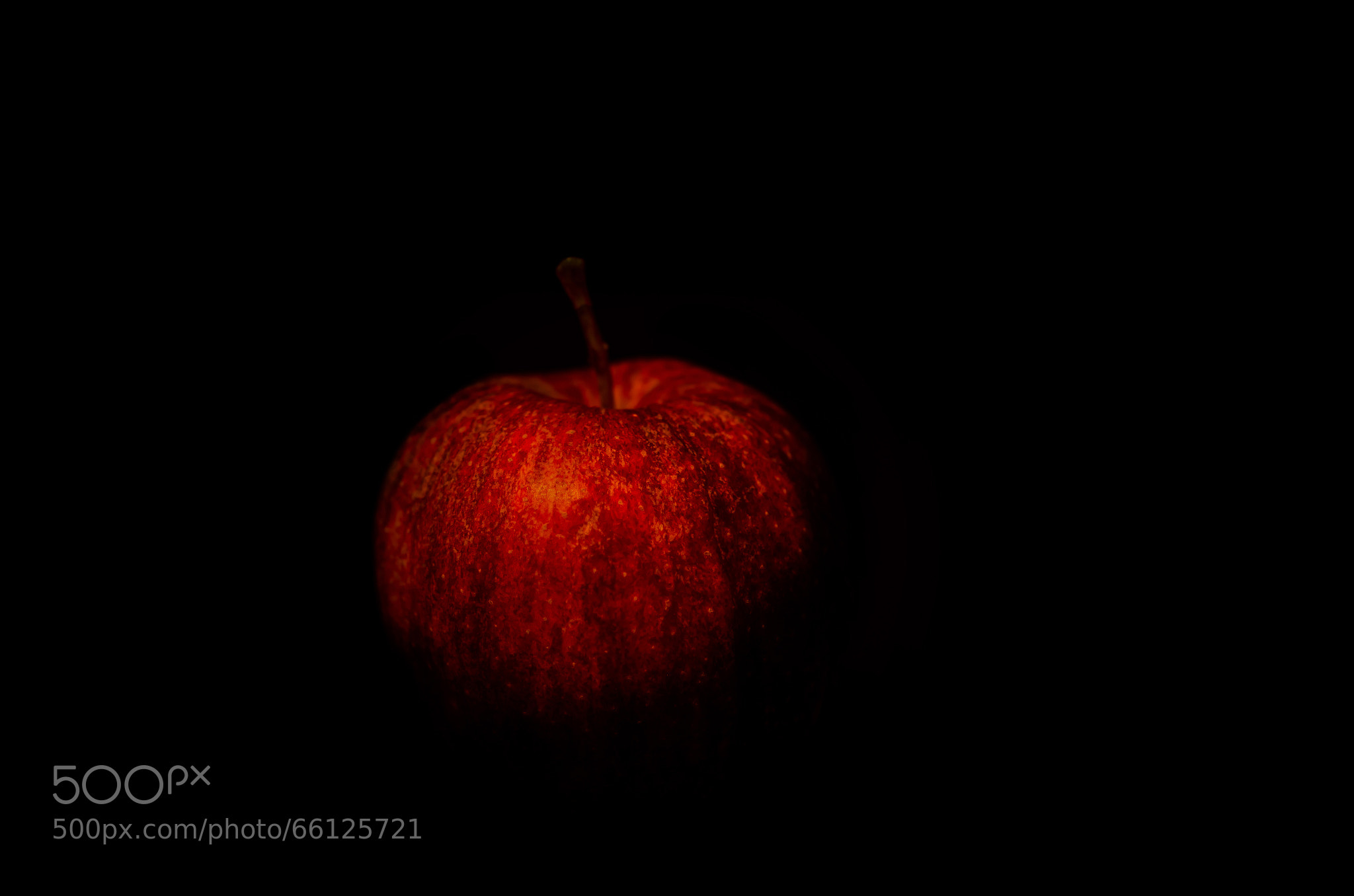 Portrait of an Apple
