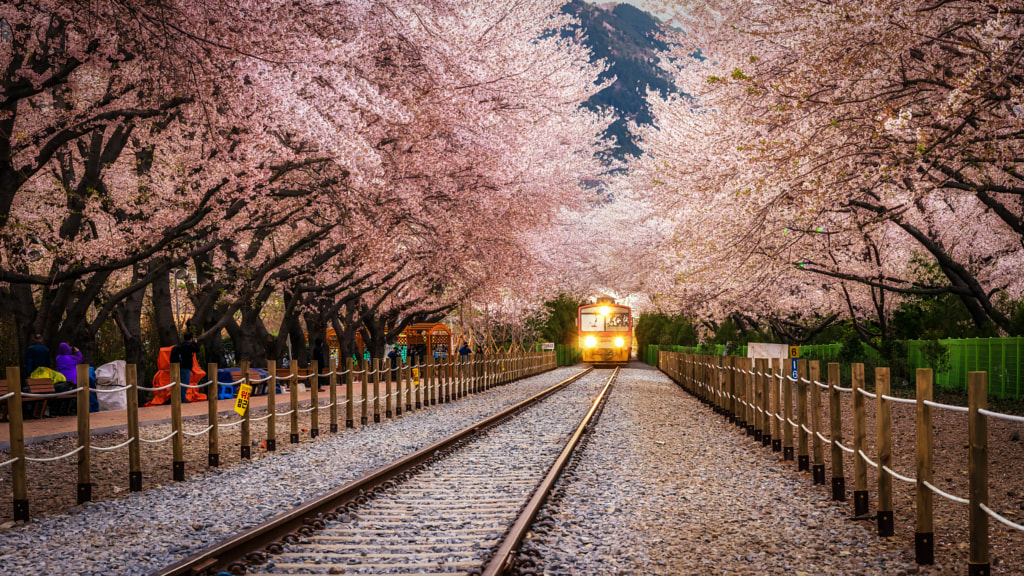 Riding through sp by Aaron Choi on 500px.com