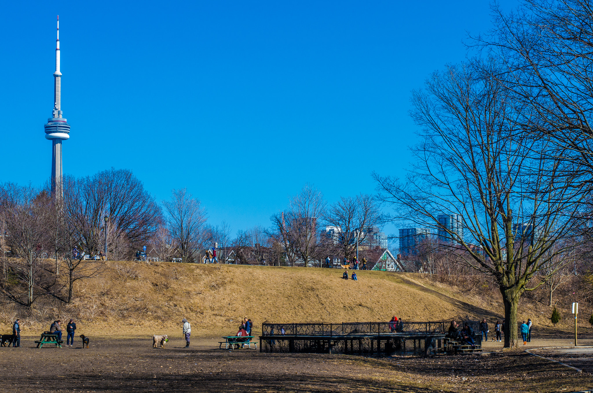 Looks like spring, eh.