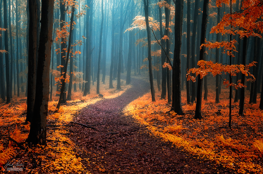 Call of wandering by Janek Sedlar on 500px.com