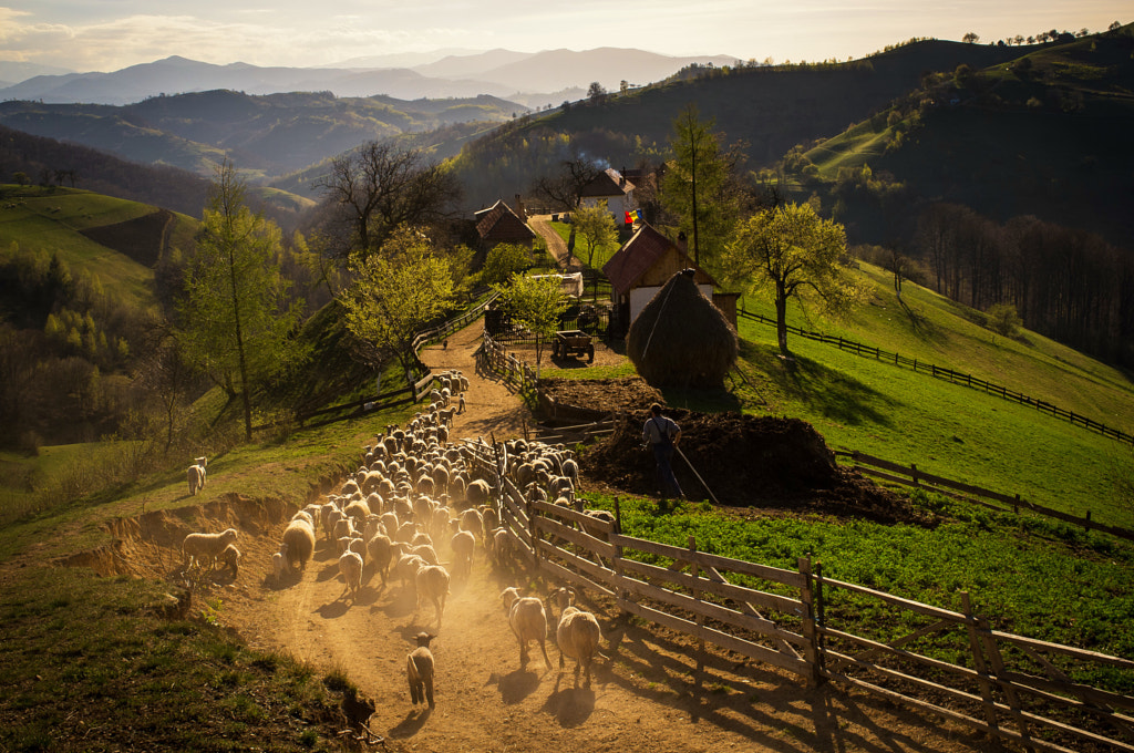 Rural landscape by Catalin Caciuc on 500px.com