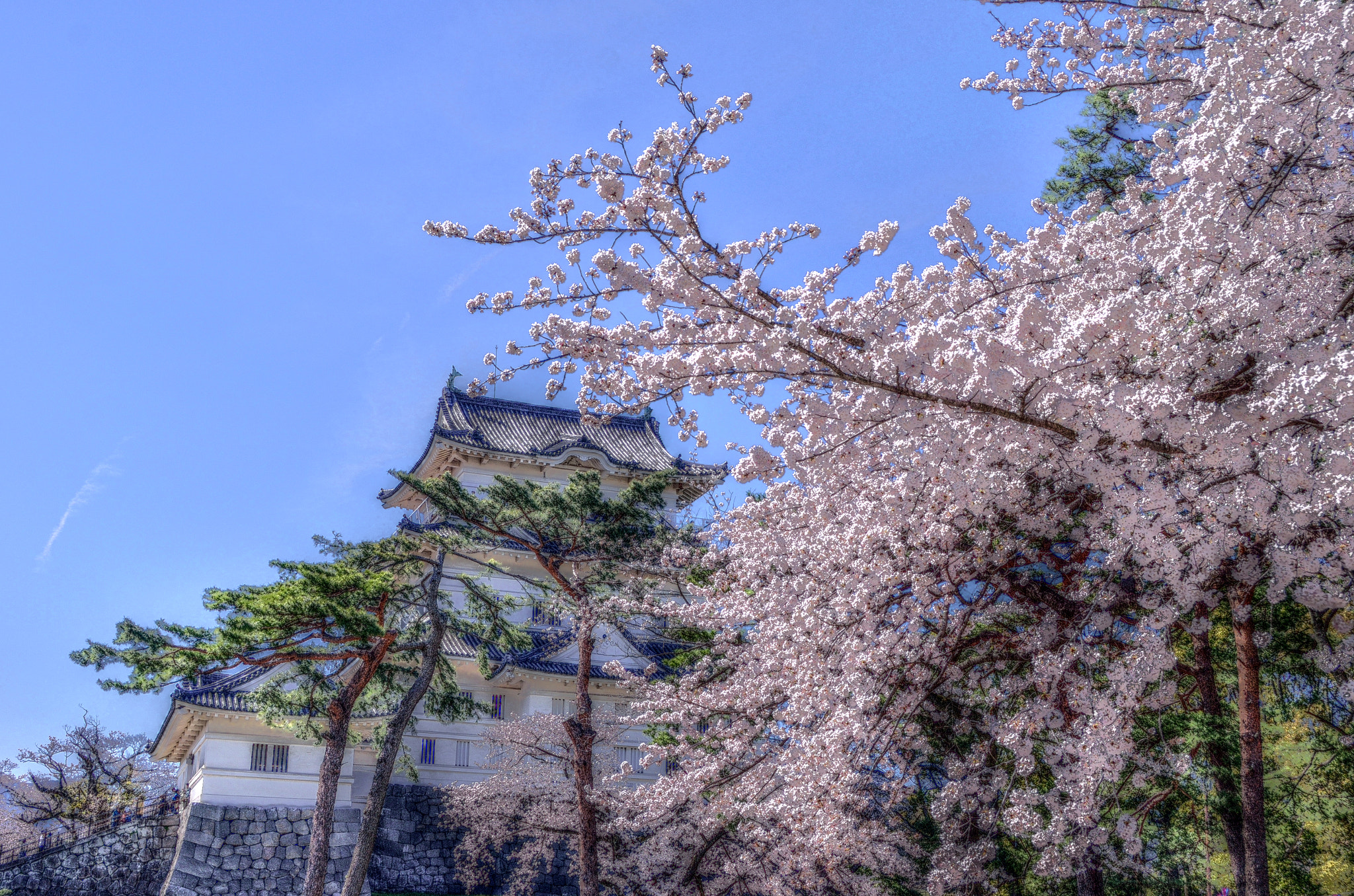 ODAWARA-Jyo castle