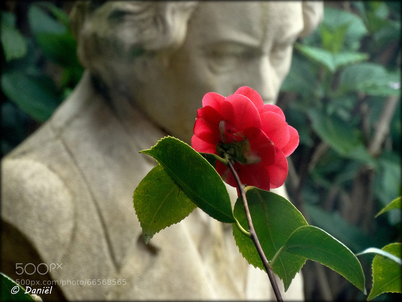 Sony Cyber-shot DSC-HX300 sample photo. Smells good ... .. . photography