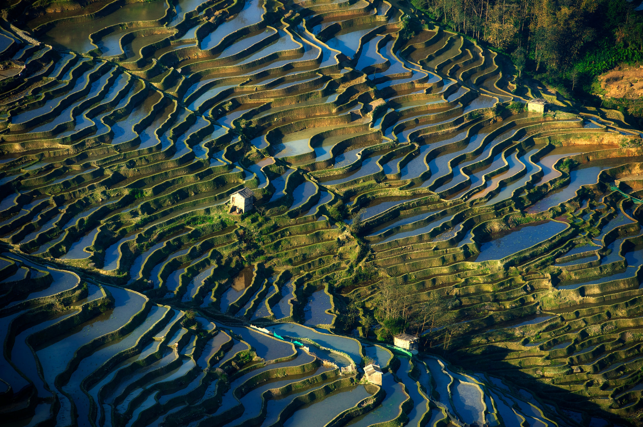 Hani Rice Terrace