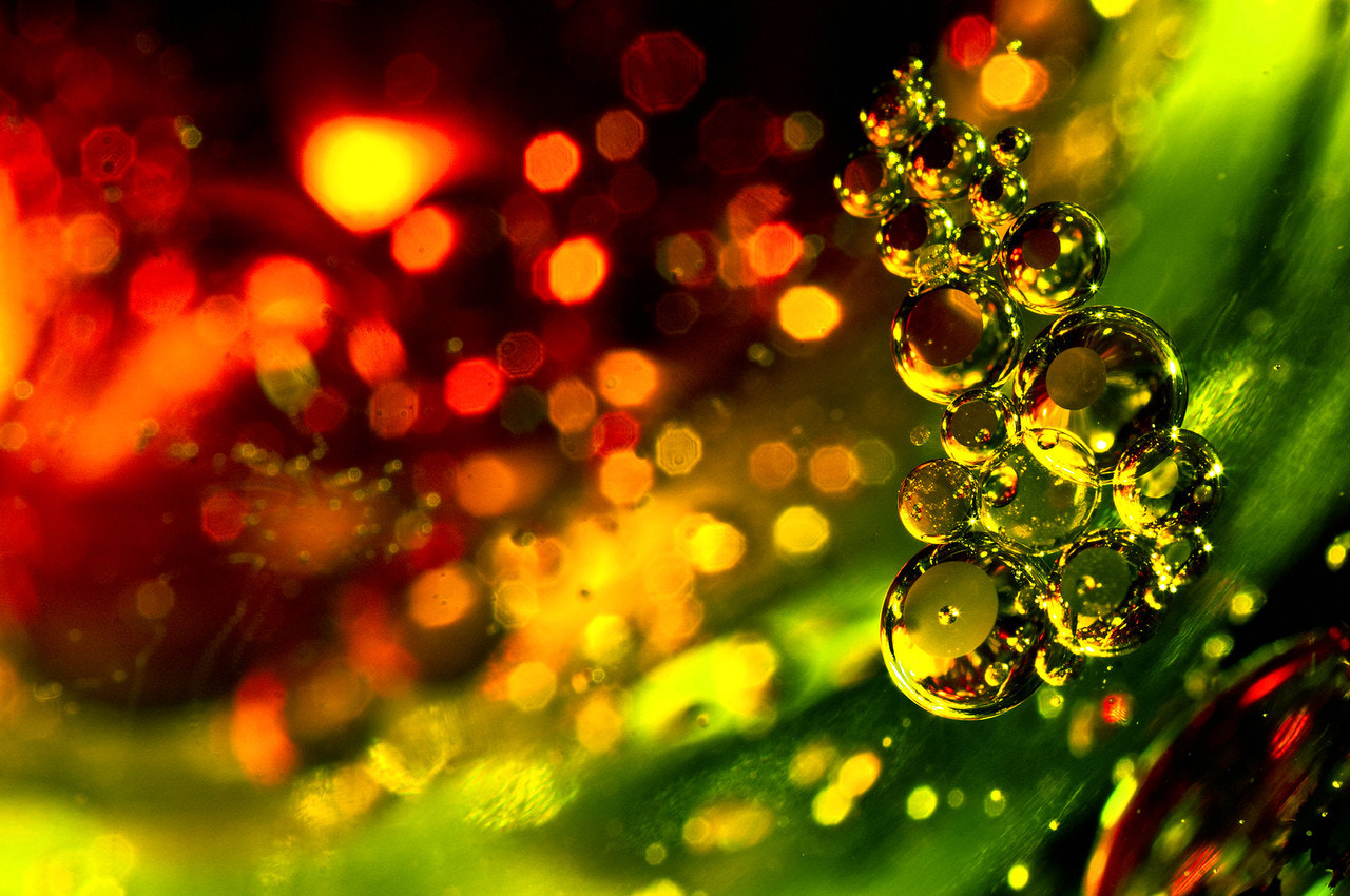 Oil and Vinegar