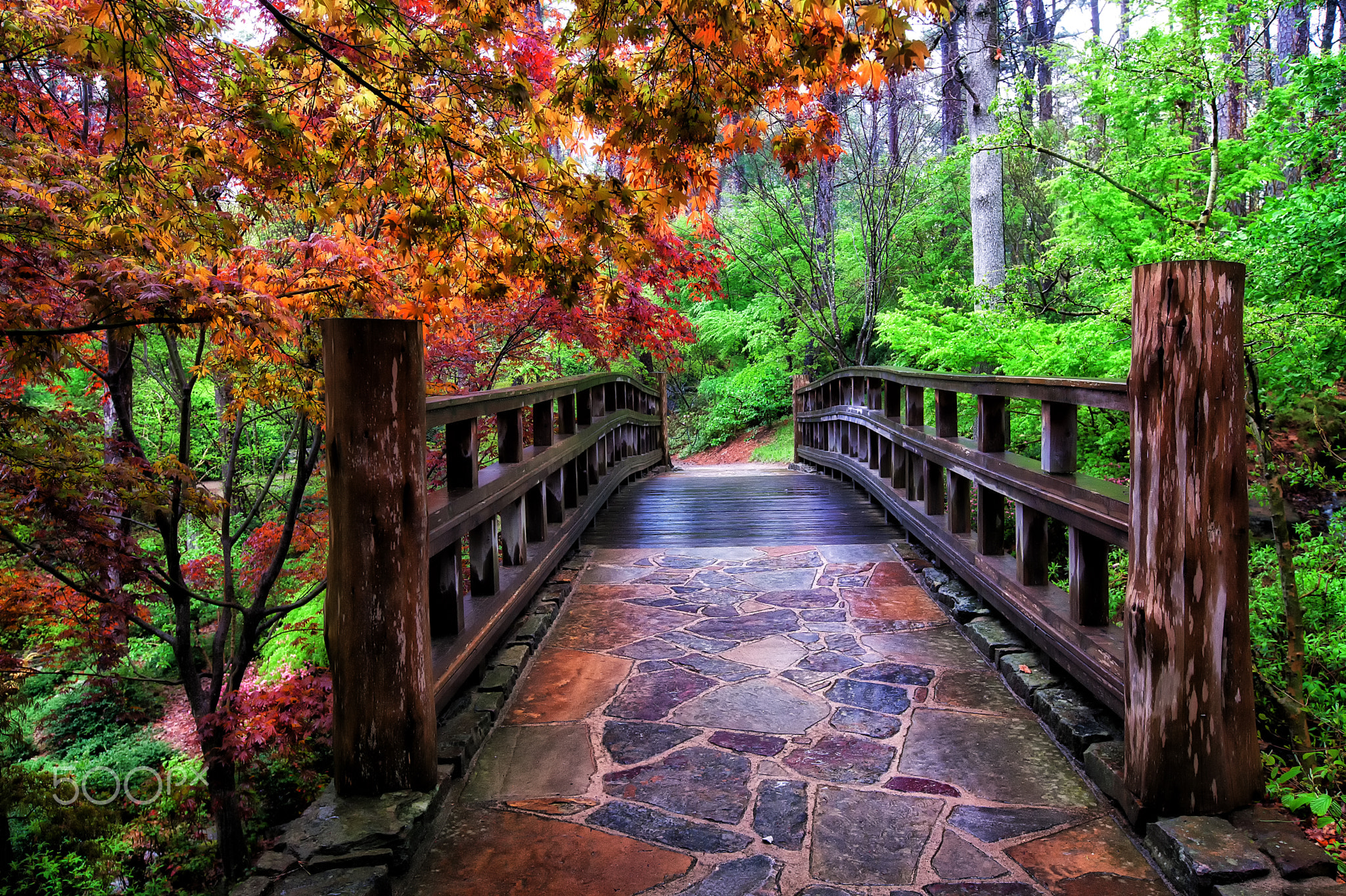 The Sunrise Bridge - Garvan Woodland Gardens - Hot Springs, Arkansas