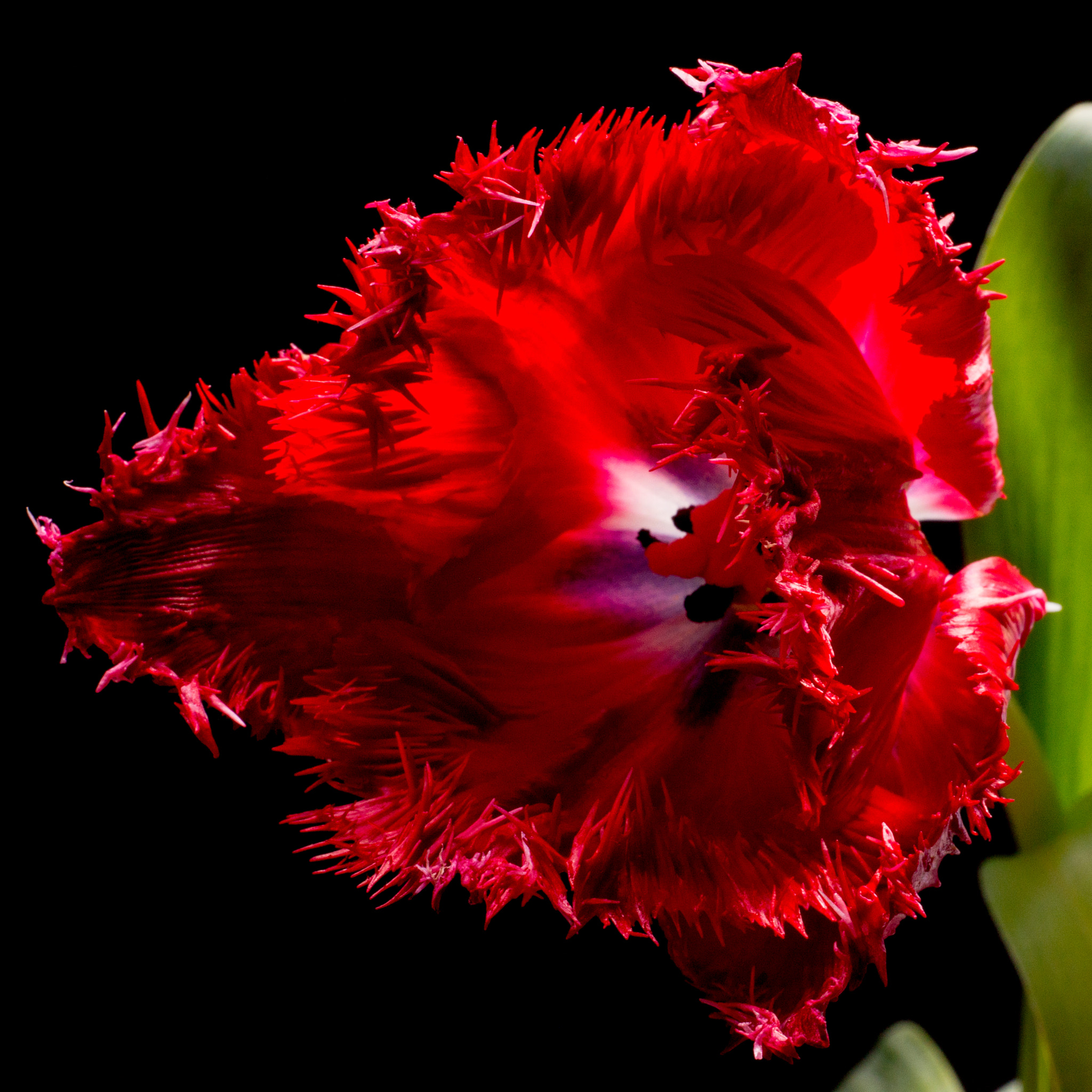 v2?sig=67dba50a525347e2dc82403f5c0d44ce789246620b60aeba6fdd3e320aa2b547