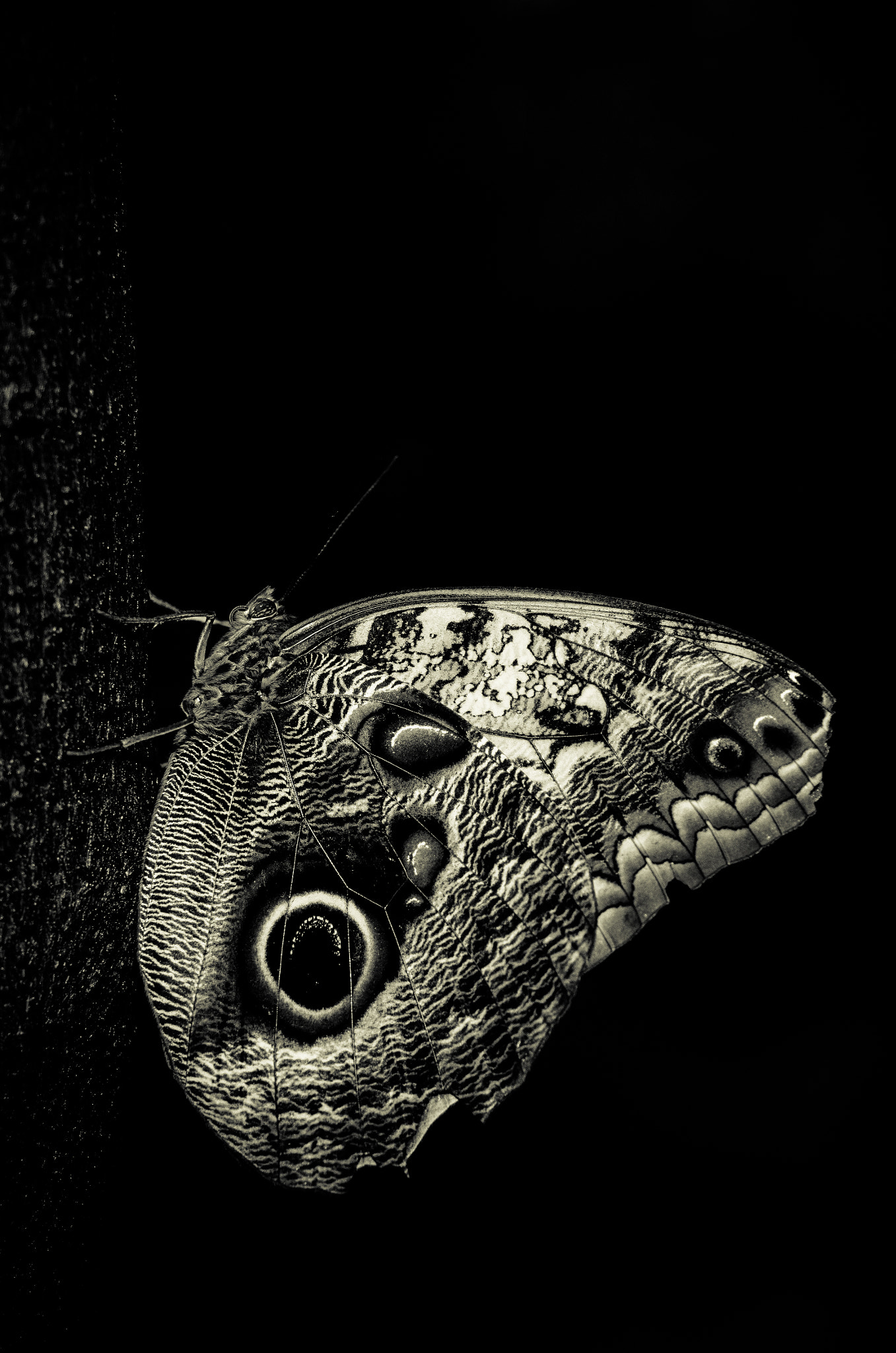 v2?sig=f4f48212b37df10576a14874251b984497d2806d0d3aa0c86dac40f79ff49d68