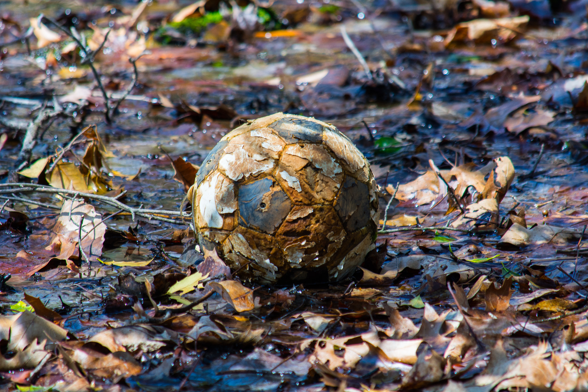 The Lost Soccer Ball (Football)