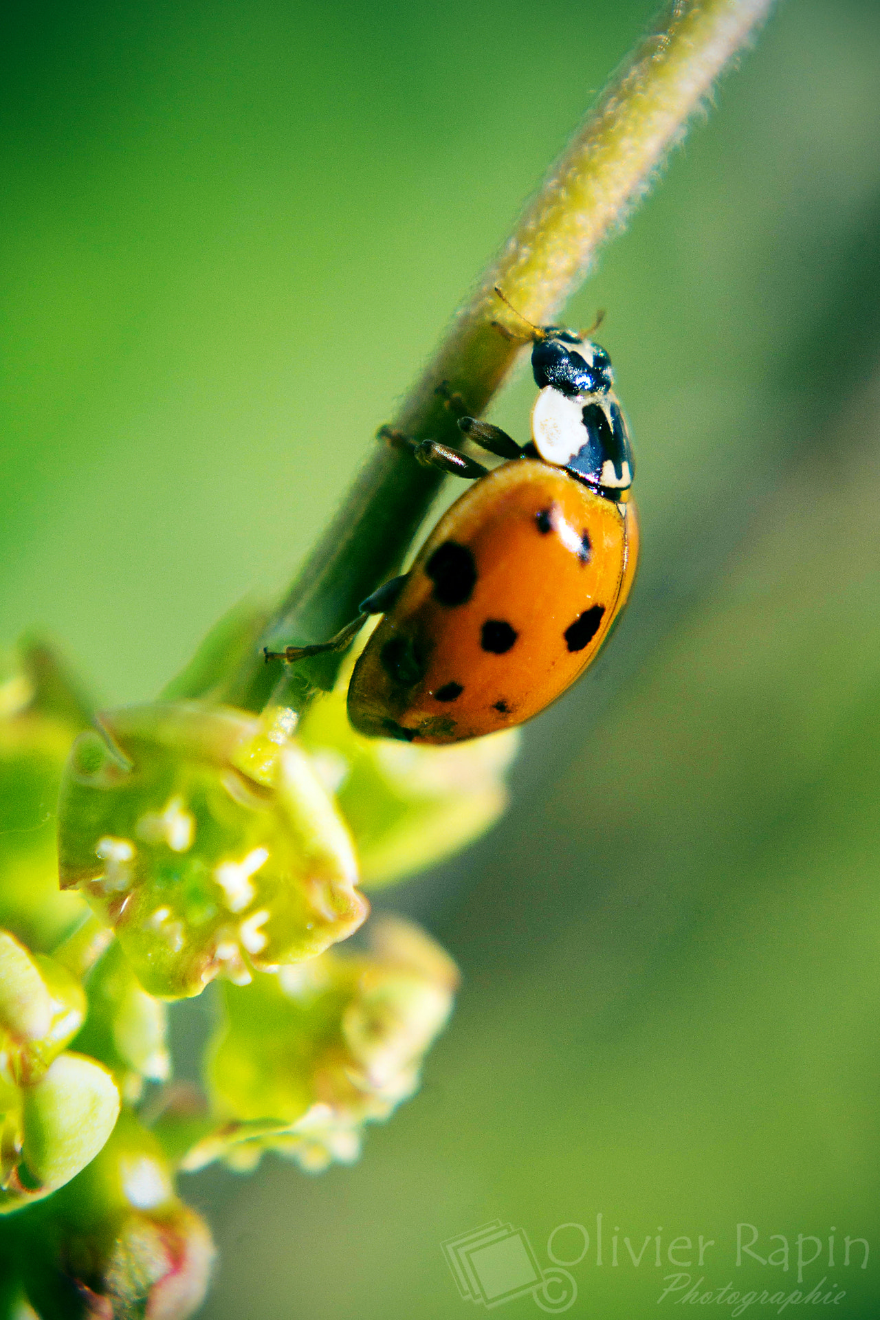 v2?sig=3861a046fc1db11a69b89fc033bd6fb4c28e9d22449c9bb8146e69500c9155f2