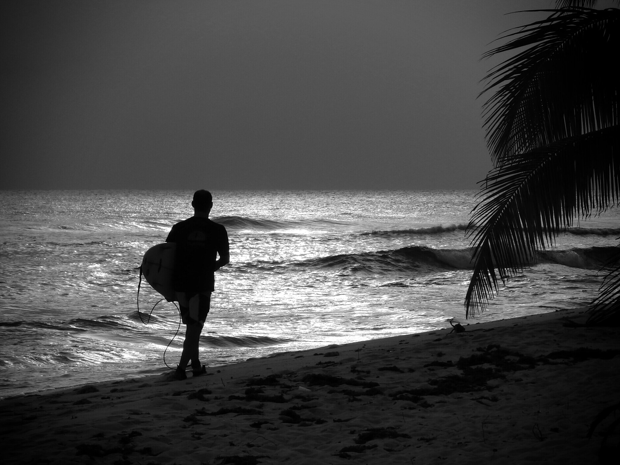 Silhouette Surfer