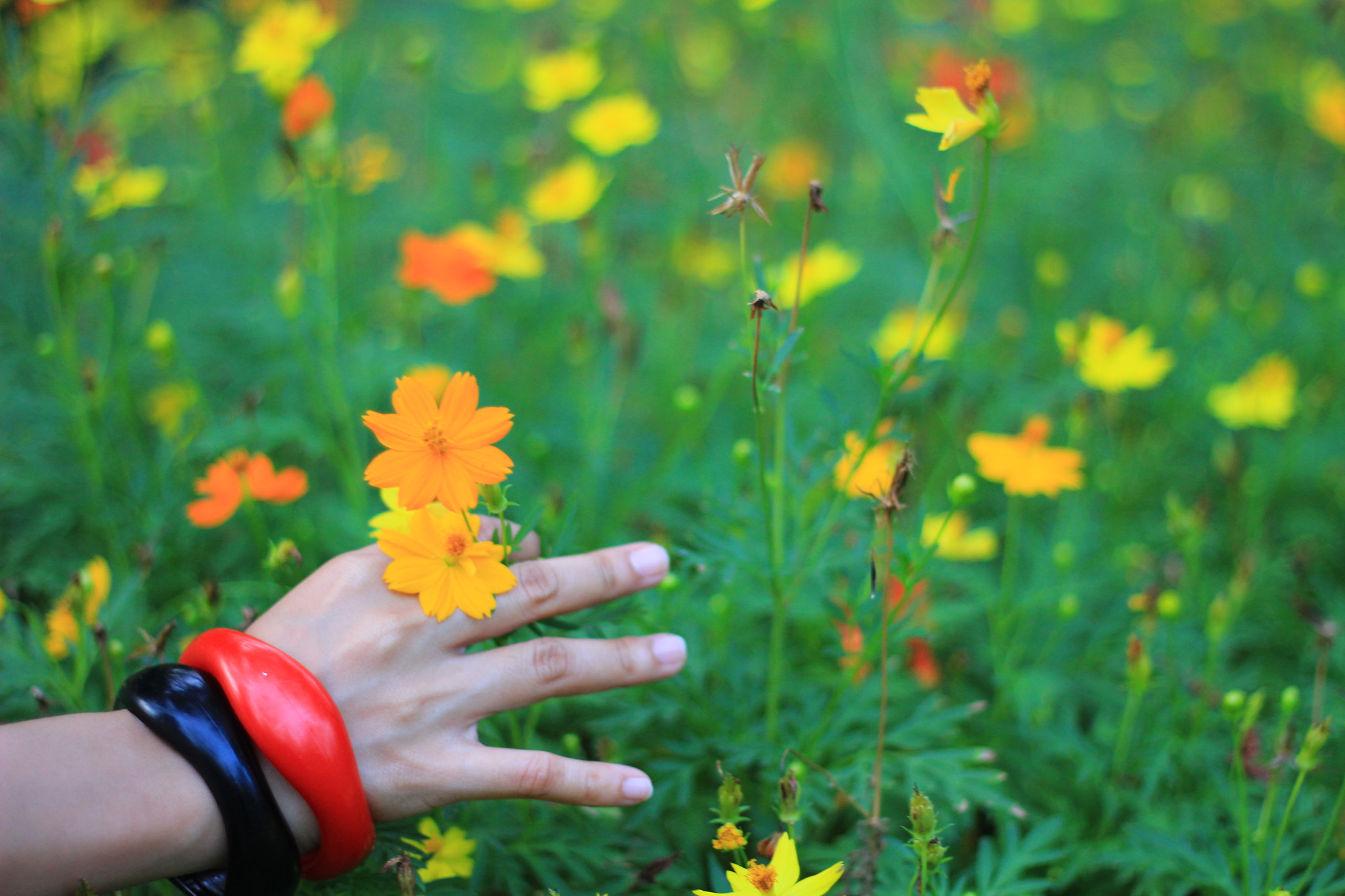 v2?sig=35b3acf50267acd2b30ef41fa0df42bc9d25c9043fe3ec38d8dddf170a21c6fa