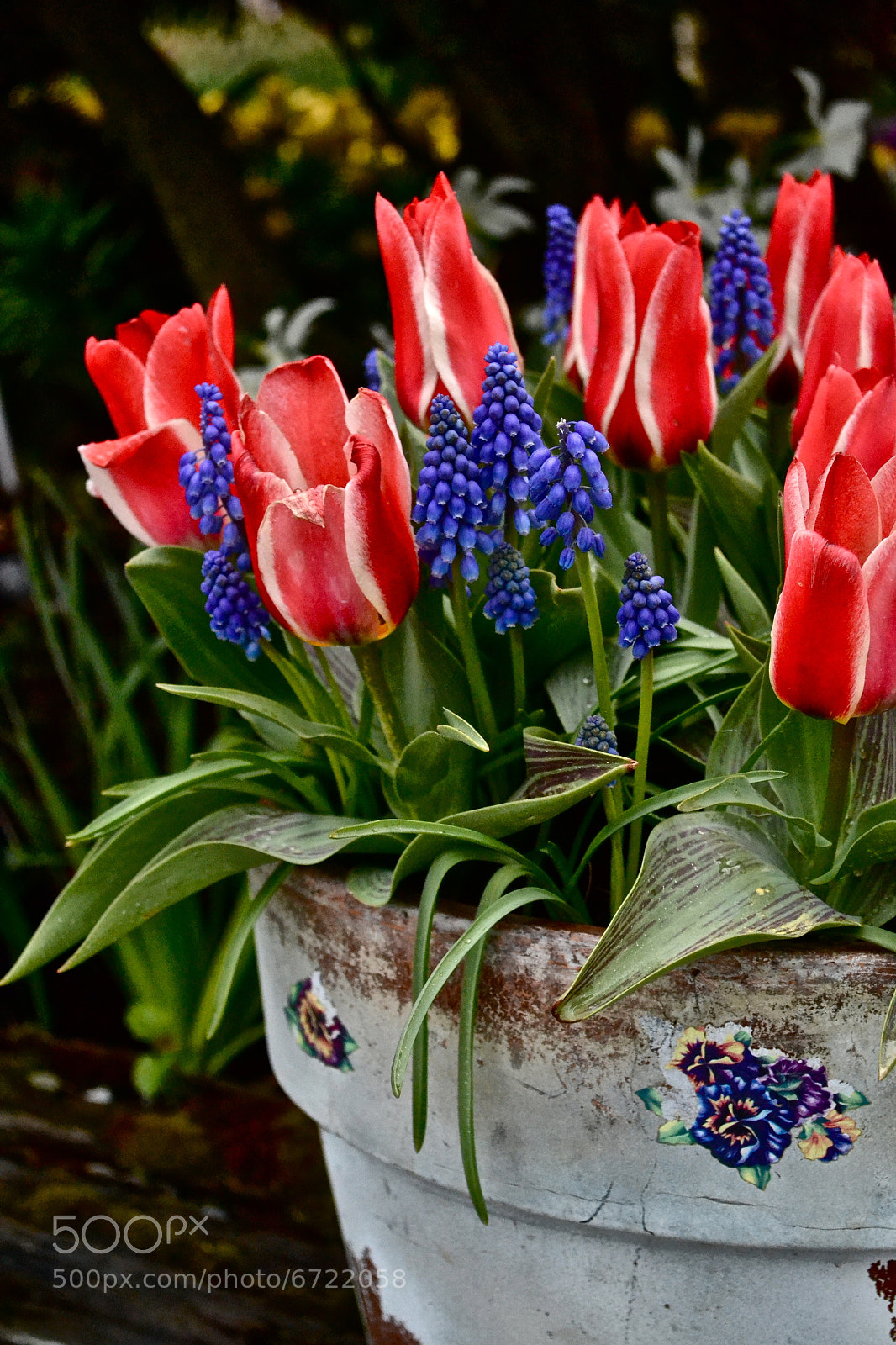 Nikon D3100 sample photo. Untitled photography