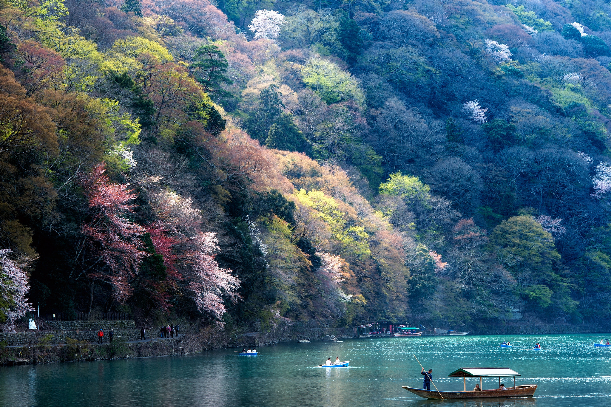 Spring in Arashiyama