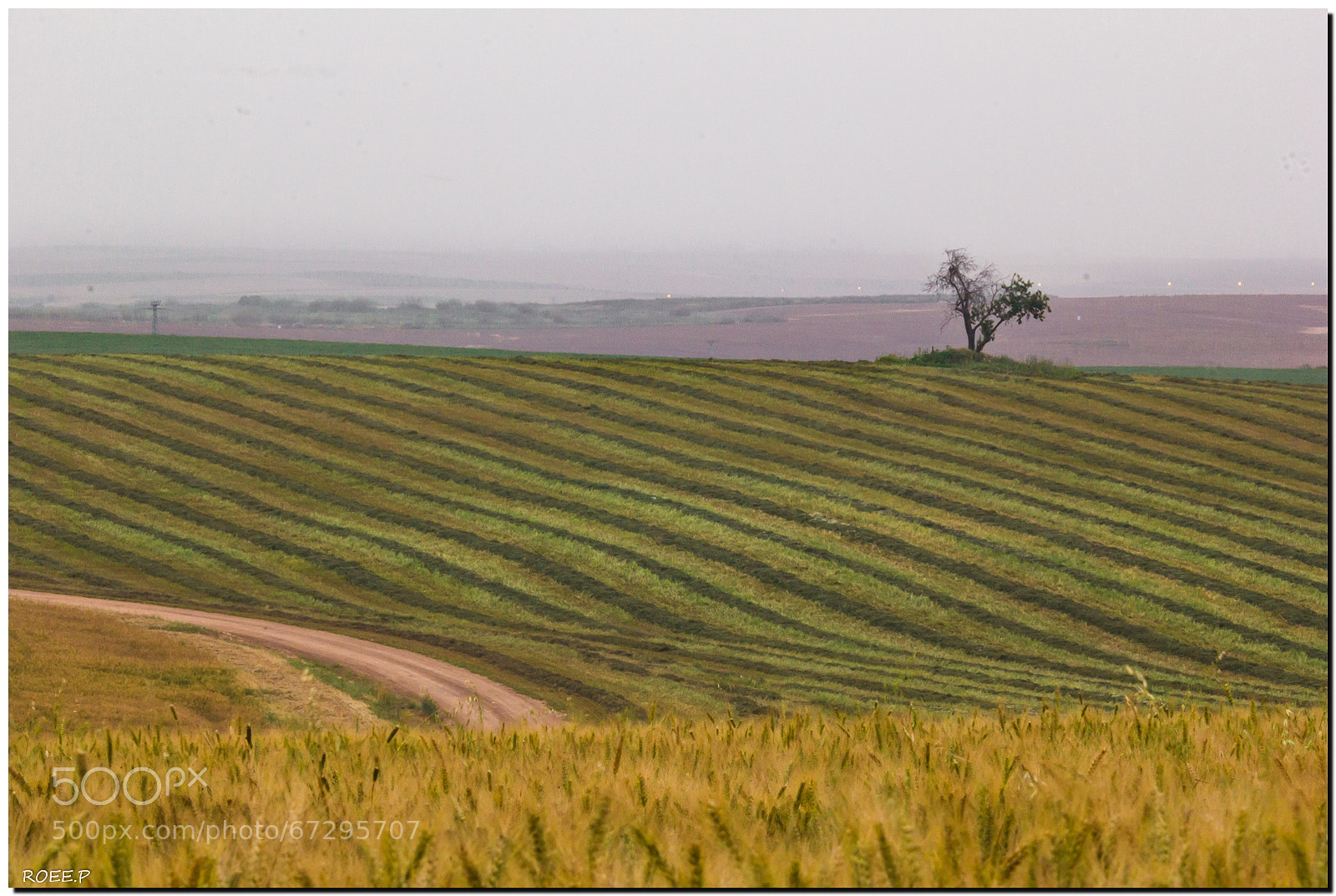 Canon EOS 60D sample photo. Like a painting photography