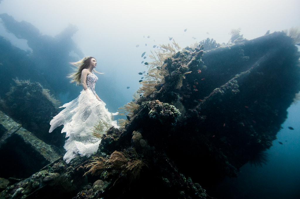 Best Of 2014 Top 10 Underwater Photos 500px
