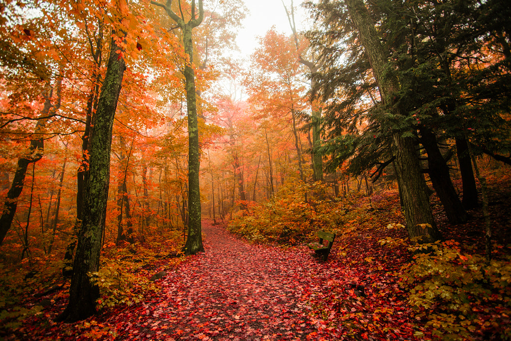 In the red by Yang Song / 500px