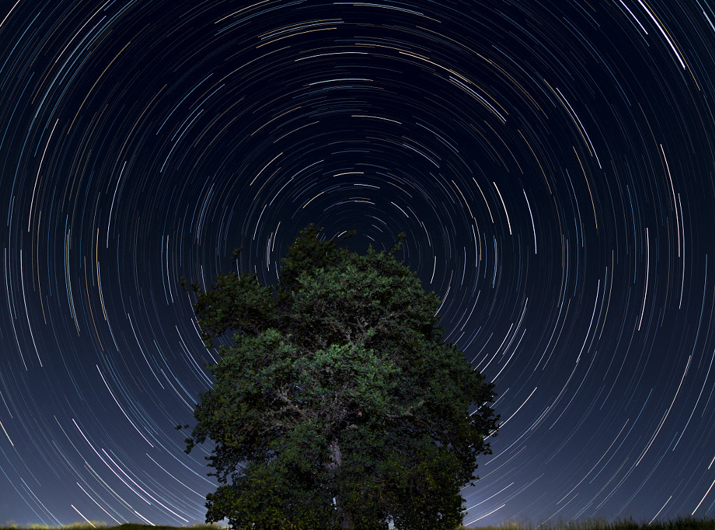 Northern California Star Trails by Kevin Johnson on 500px.com
