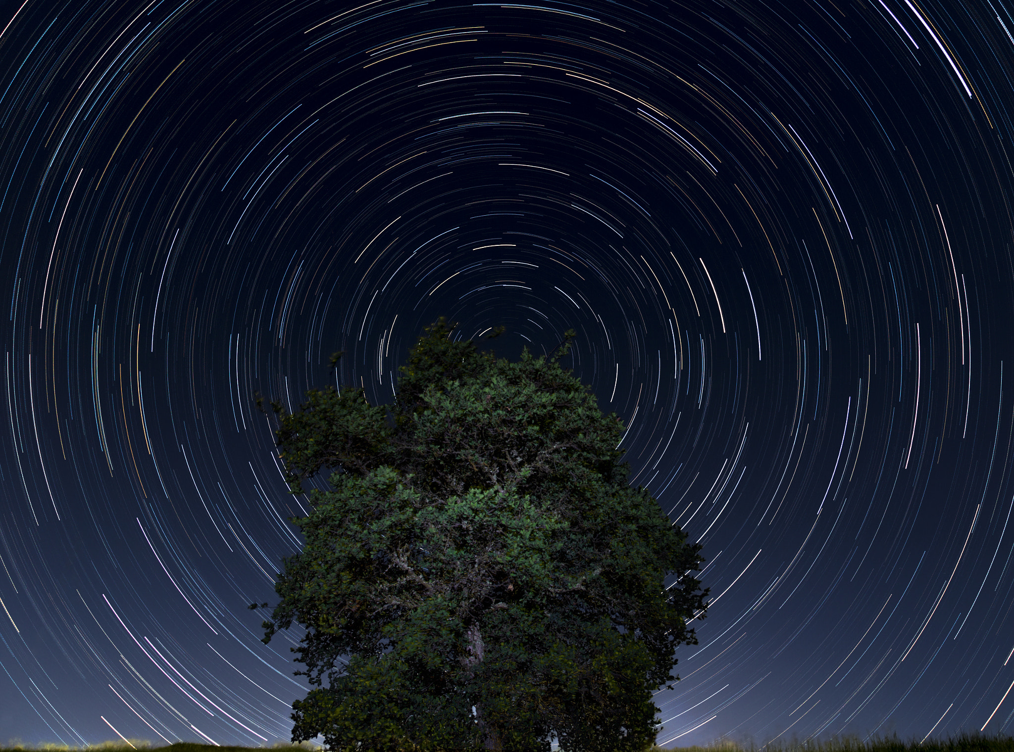 Northern California Star Trails by Kevin Johnson on 500px.com