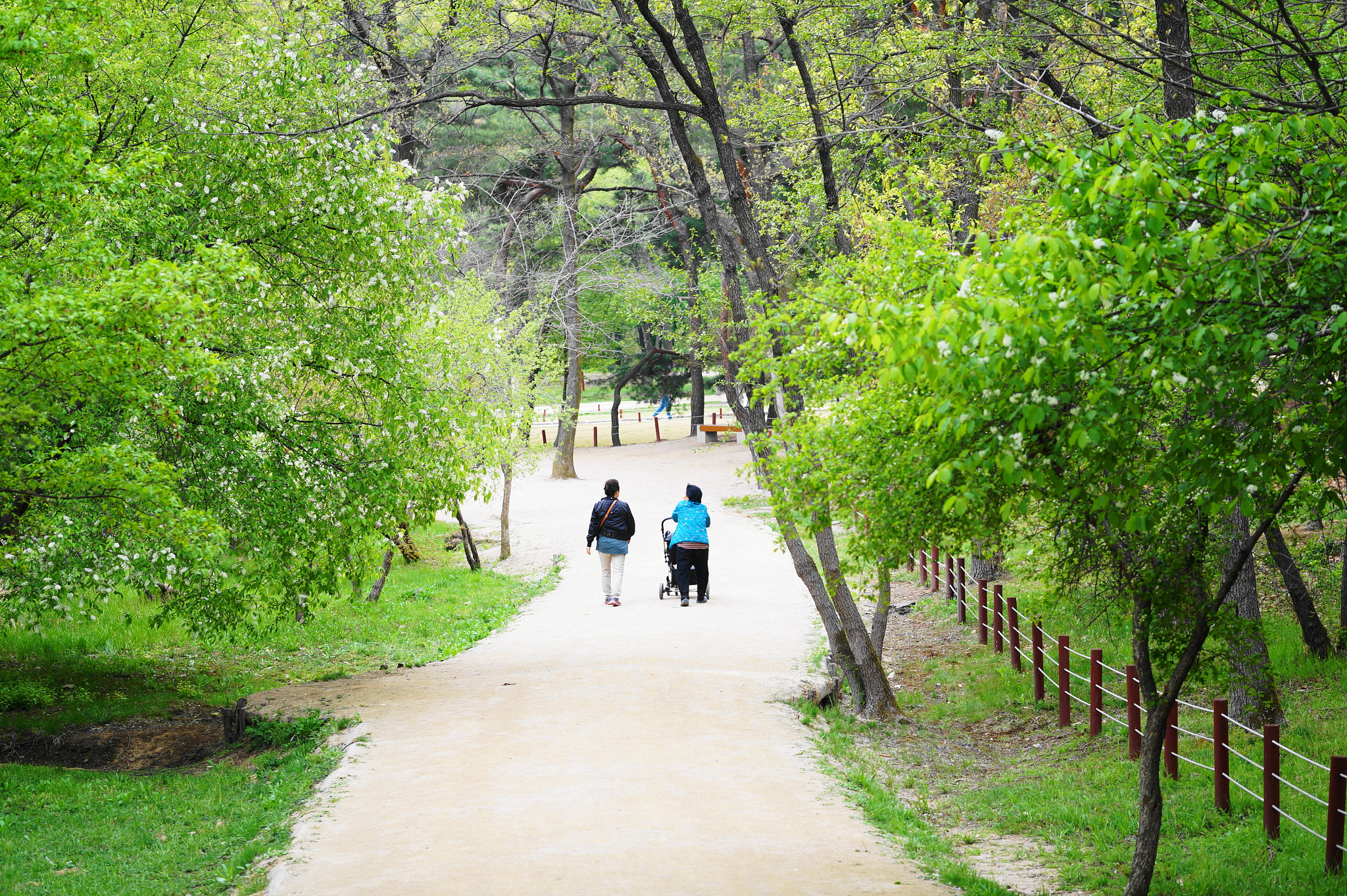 Walking around Seo o reung