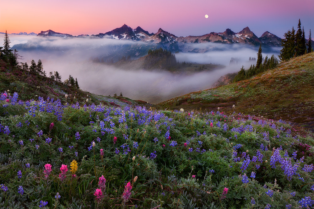 Hot Frosty Buzz by Miles Morgan / 500px