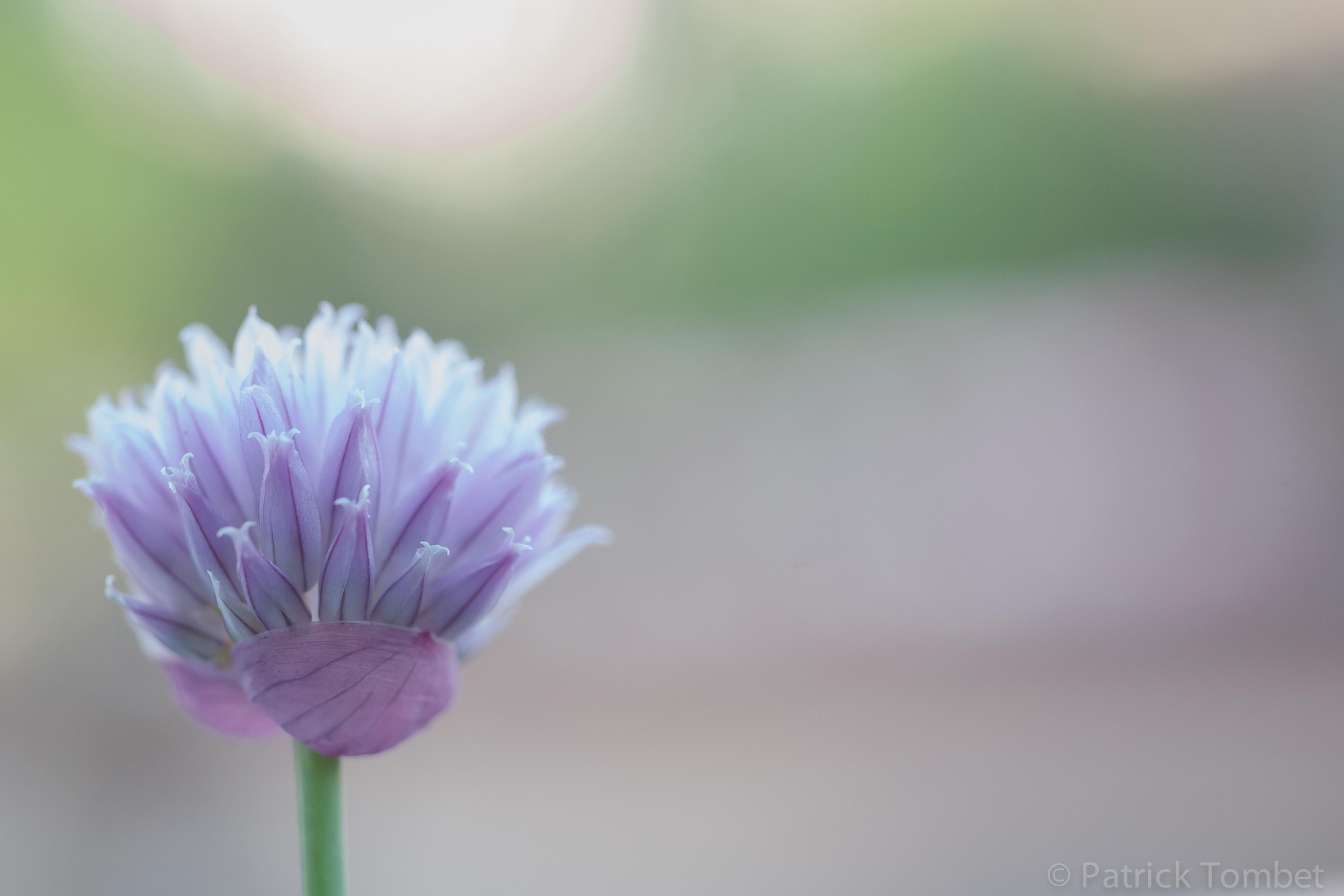 v2?sig=6f0248d9c477e5dd4e082c47b0c3aed973fede0346d39076ae50133d1a3980a6