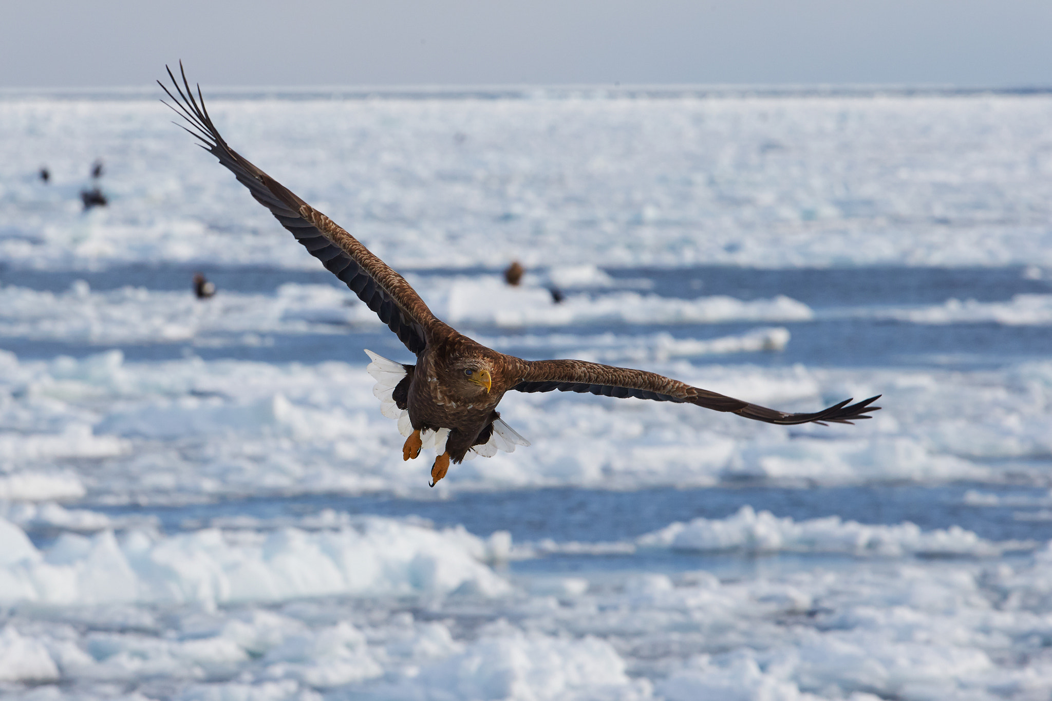 v2?sig=ddd9afdb526a2d4418f49ecd6d85230e11c0e2f876572b1b71d7357057886a39